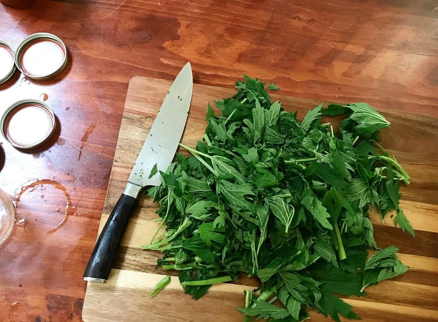 Leonurus cardiaca (Motherwort)

Bitter, cooling and rather powerful. Affinity for the heart, womb &mdash; especially helpful to the frazzled nervous systems of the caretaker archetype. 

#botanicalmedicine #herbalmedicine #herbalism
