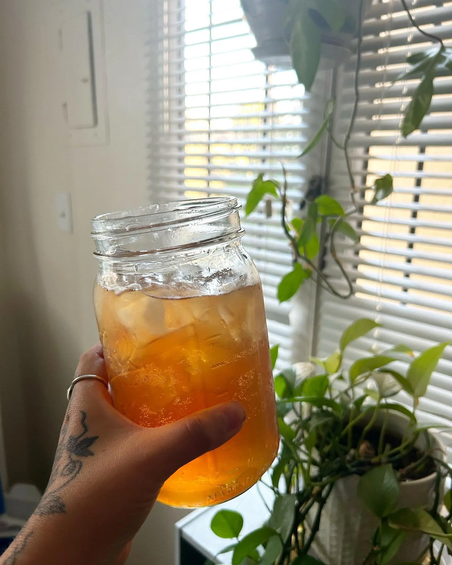 It&rsquo;s herbal iced tea season year round in my household but it sure does hit different in the 80 degree weather. 

rose hip, hibiscus and oat straw infusion with a bit of sparking water and aloe juice 💦

#herbal #herbalelixirs #herbalmedicine