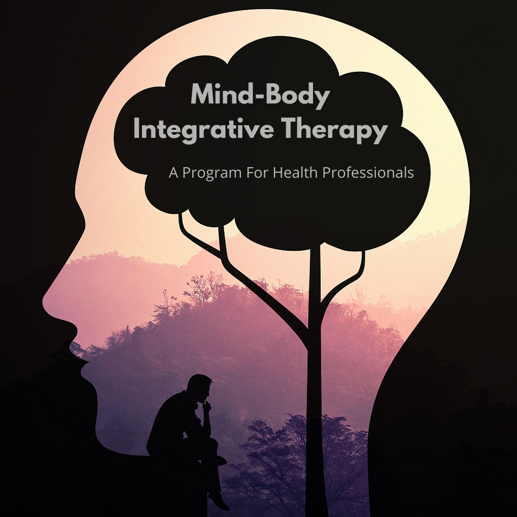 Health Professionals Course Dr Peter Reznik LCSW PH D