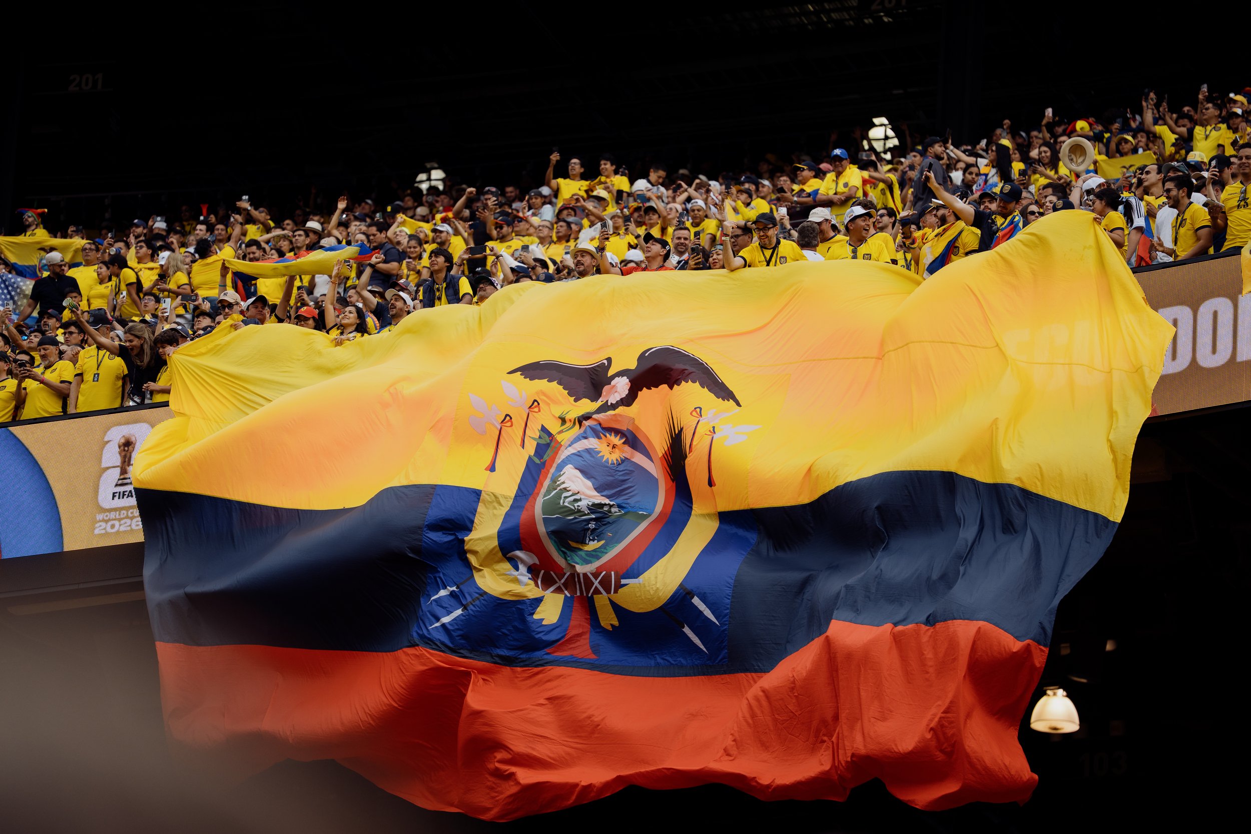 Ecuador vs Germany