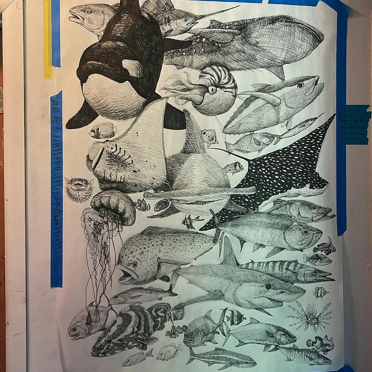 Going live on my YouTube at 5pm!! I&rsquo;ll add some more fish to this bad boy. Come join me and help me pick fish!!