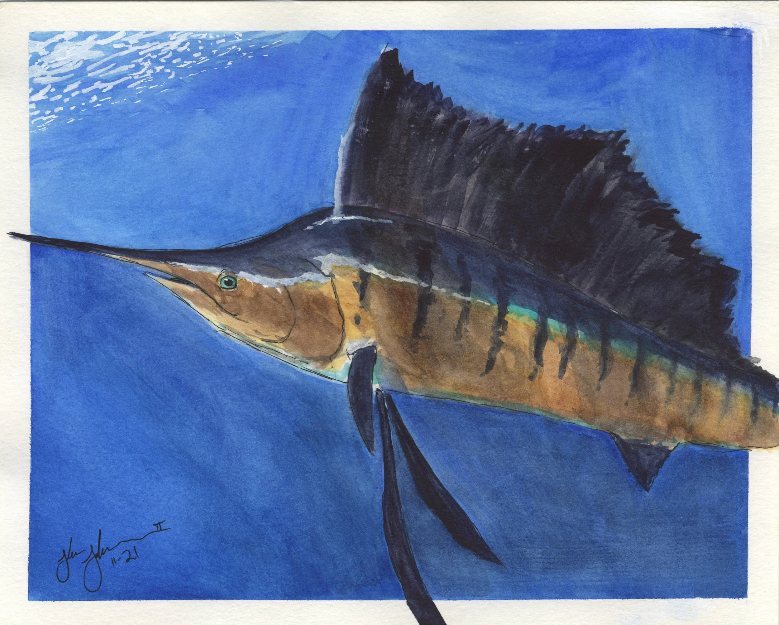 Black Marlin