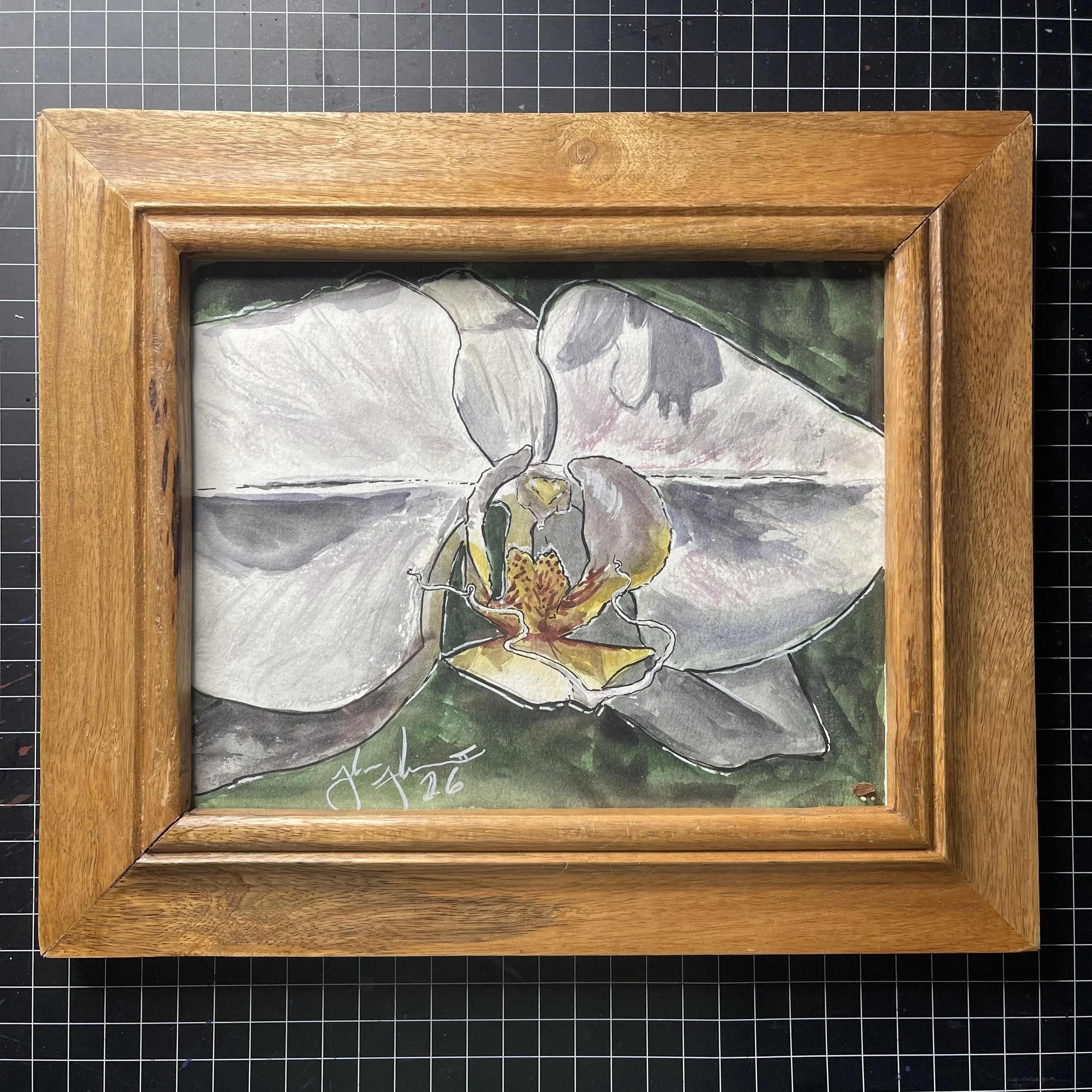 White Orchid