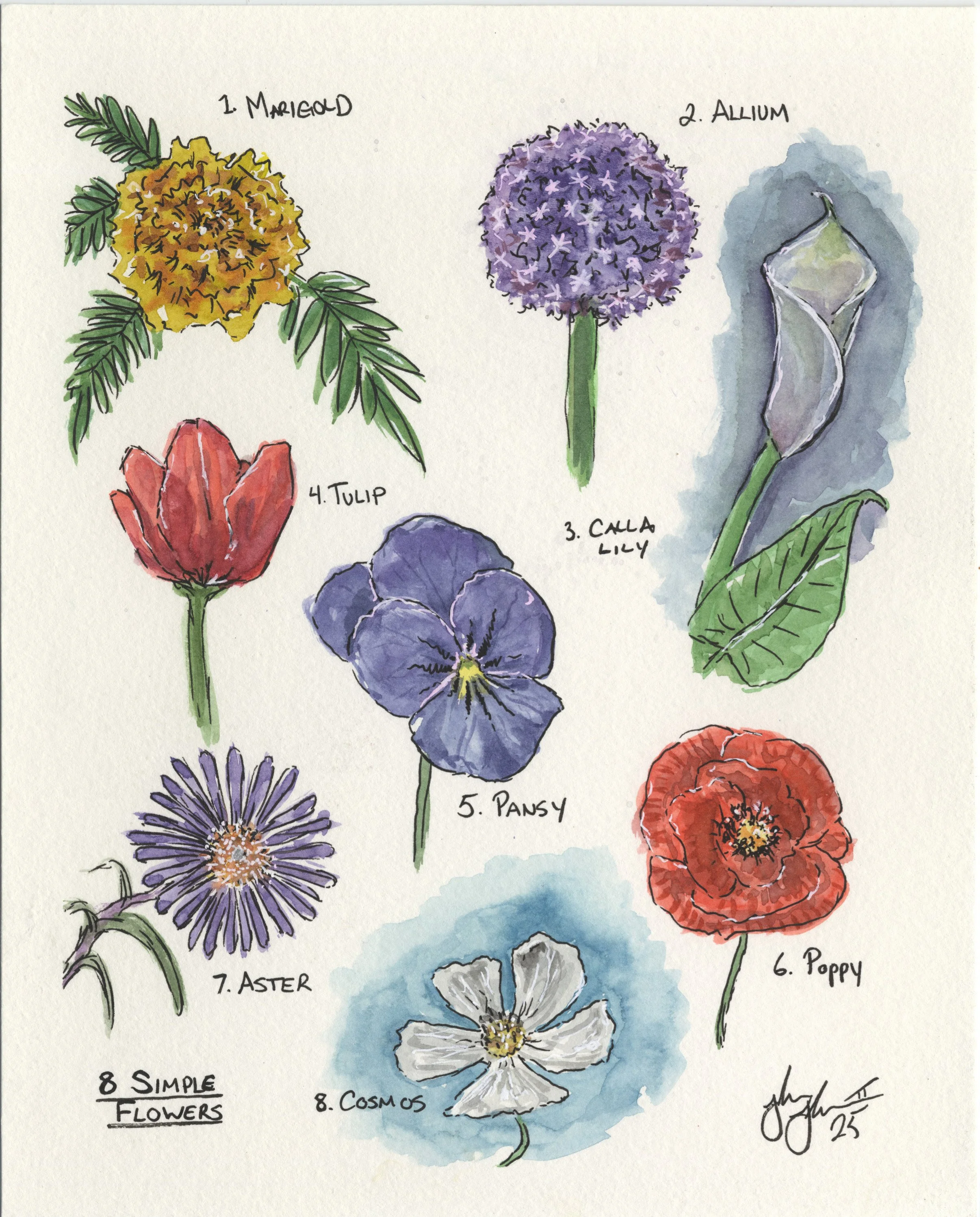 8 Simple Flowers.jpg