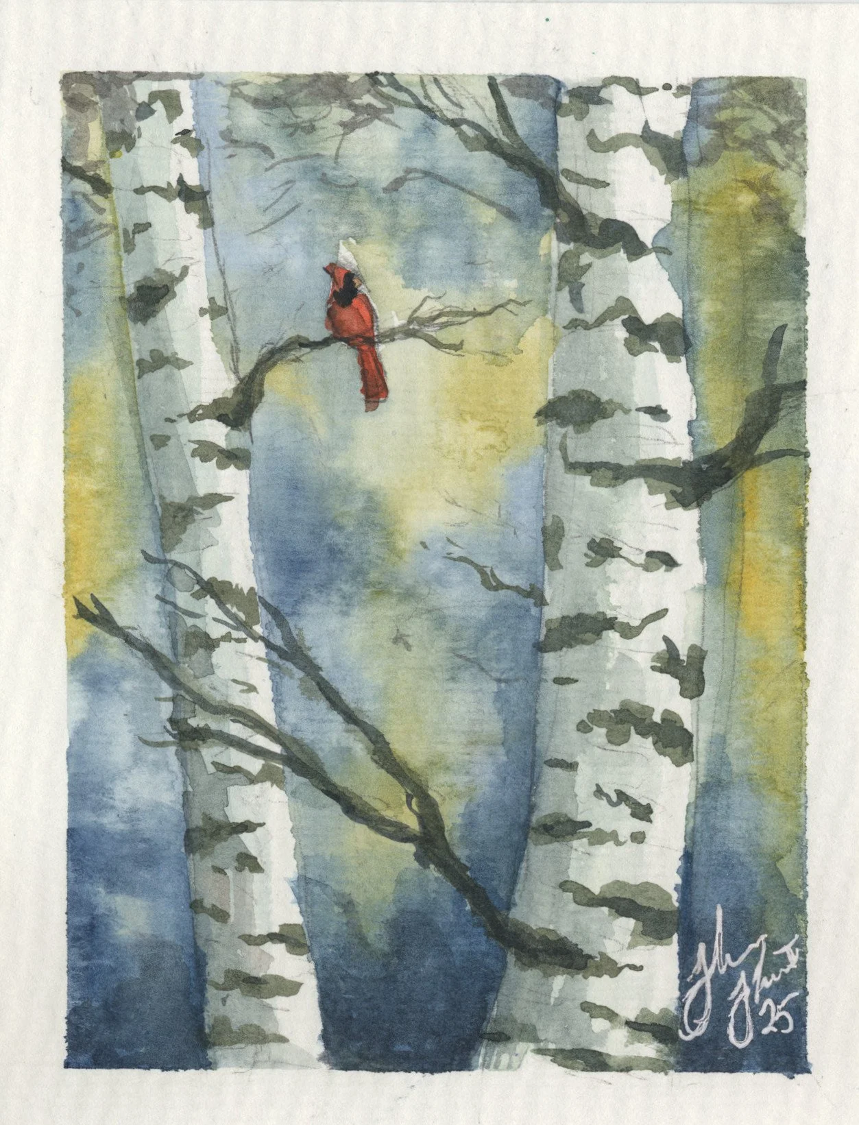 3 Color Winter Cardinal.jpg