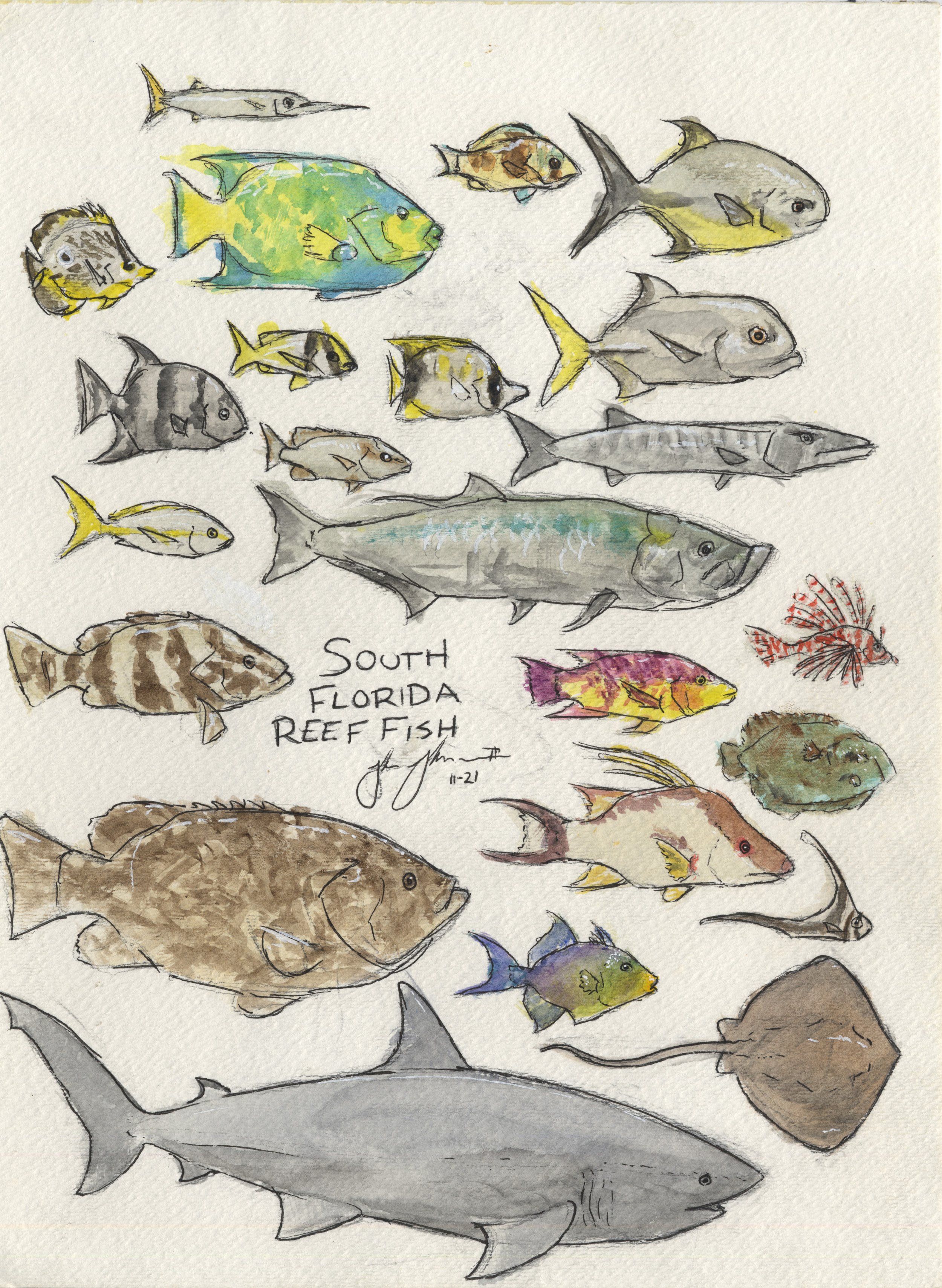 SWFL Reef Fish.jpg