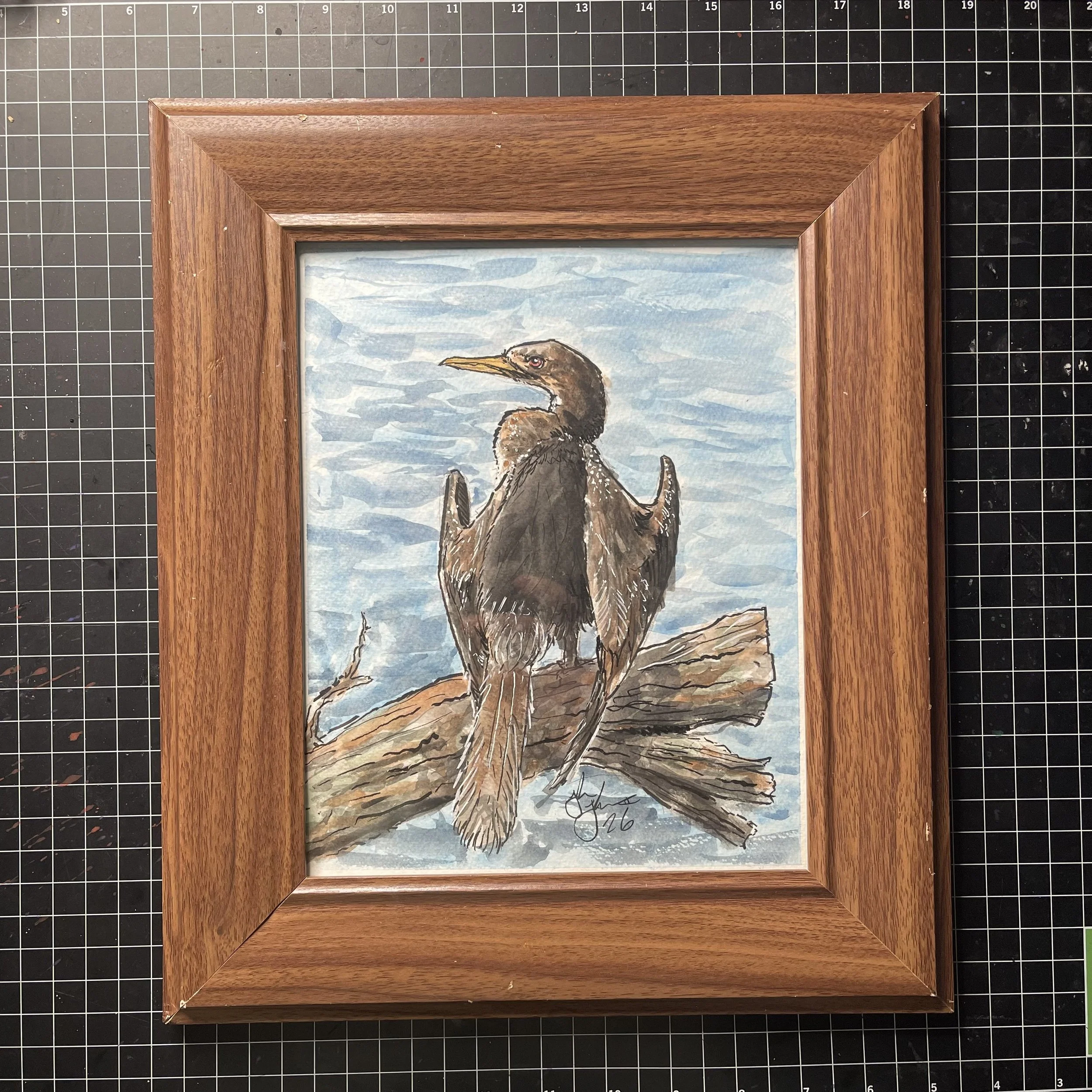 Anhinga