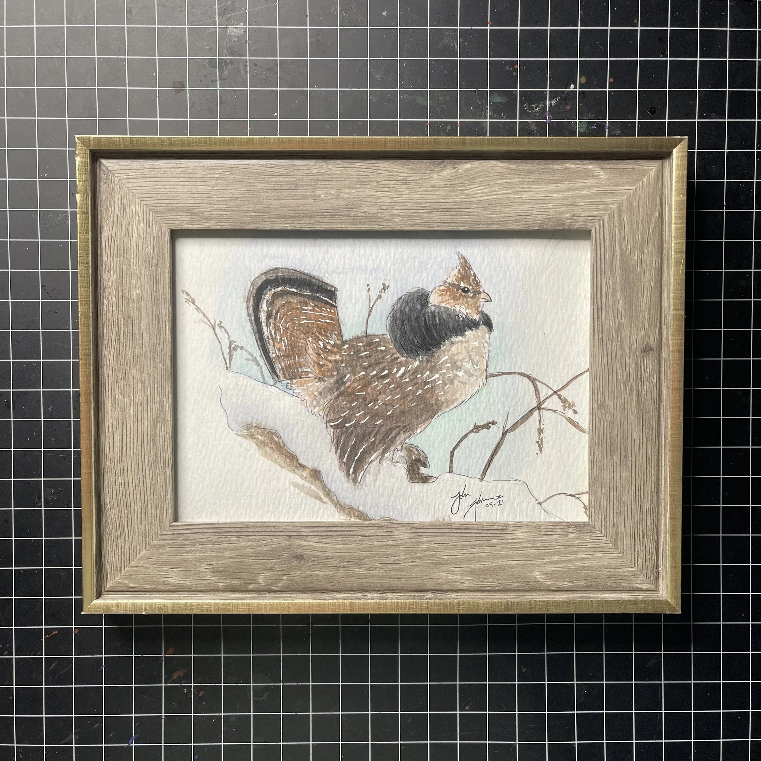 Ruffed Grouse