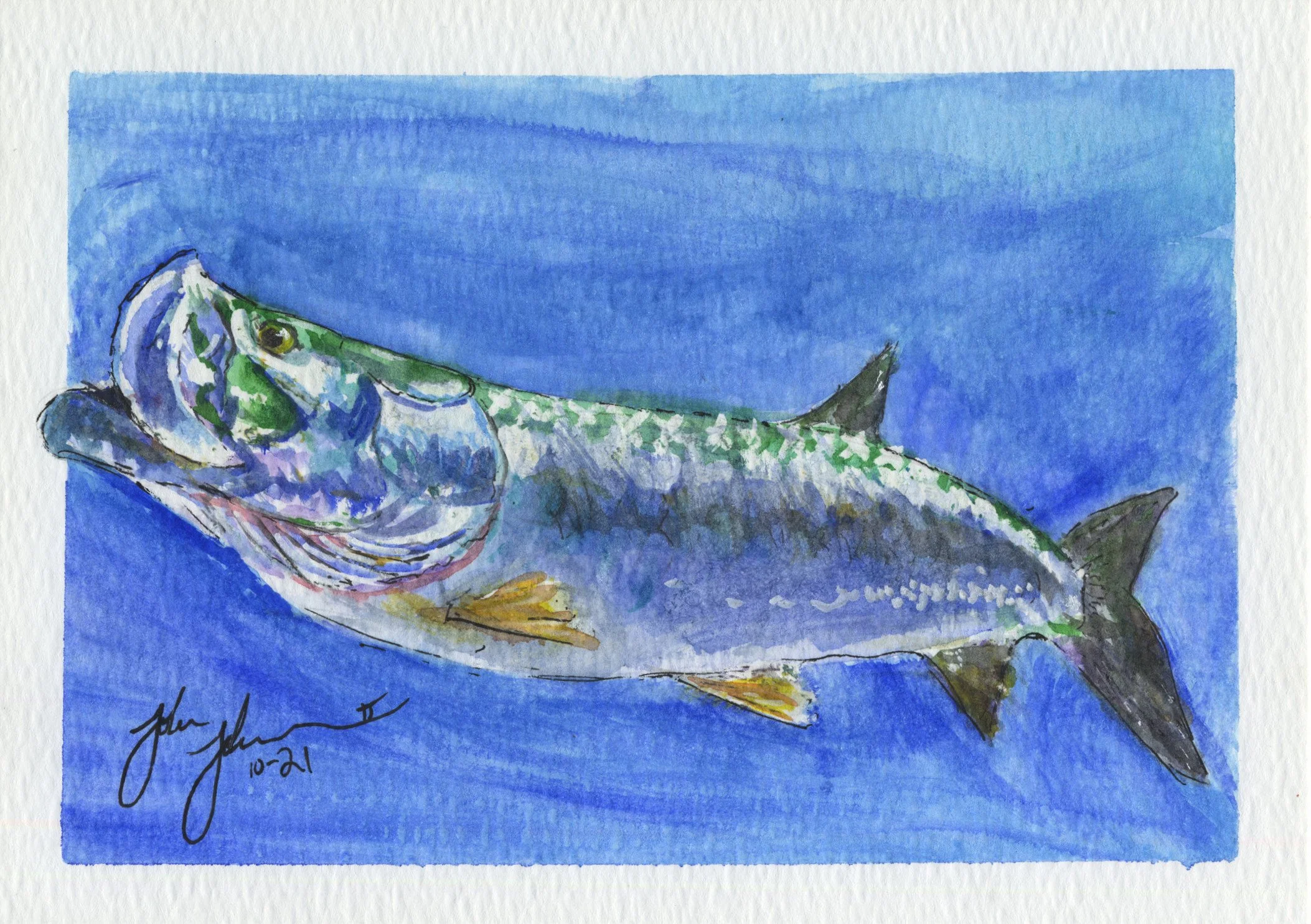 Tarpon