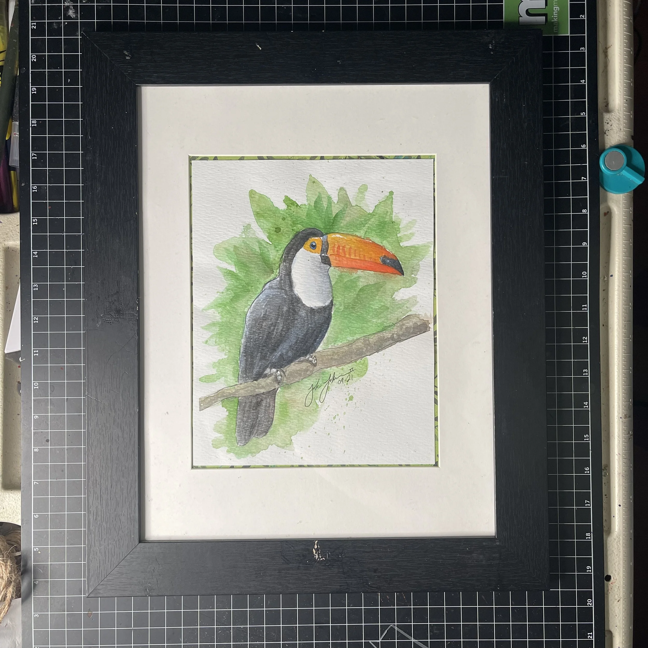 Toucan