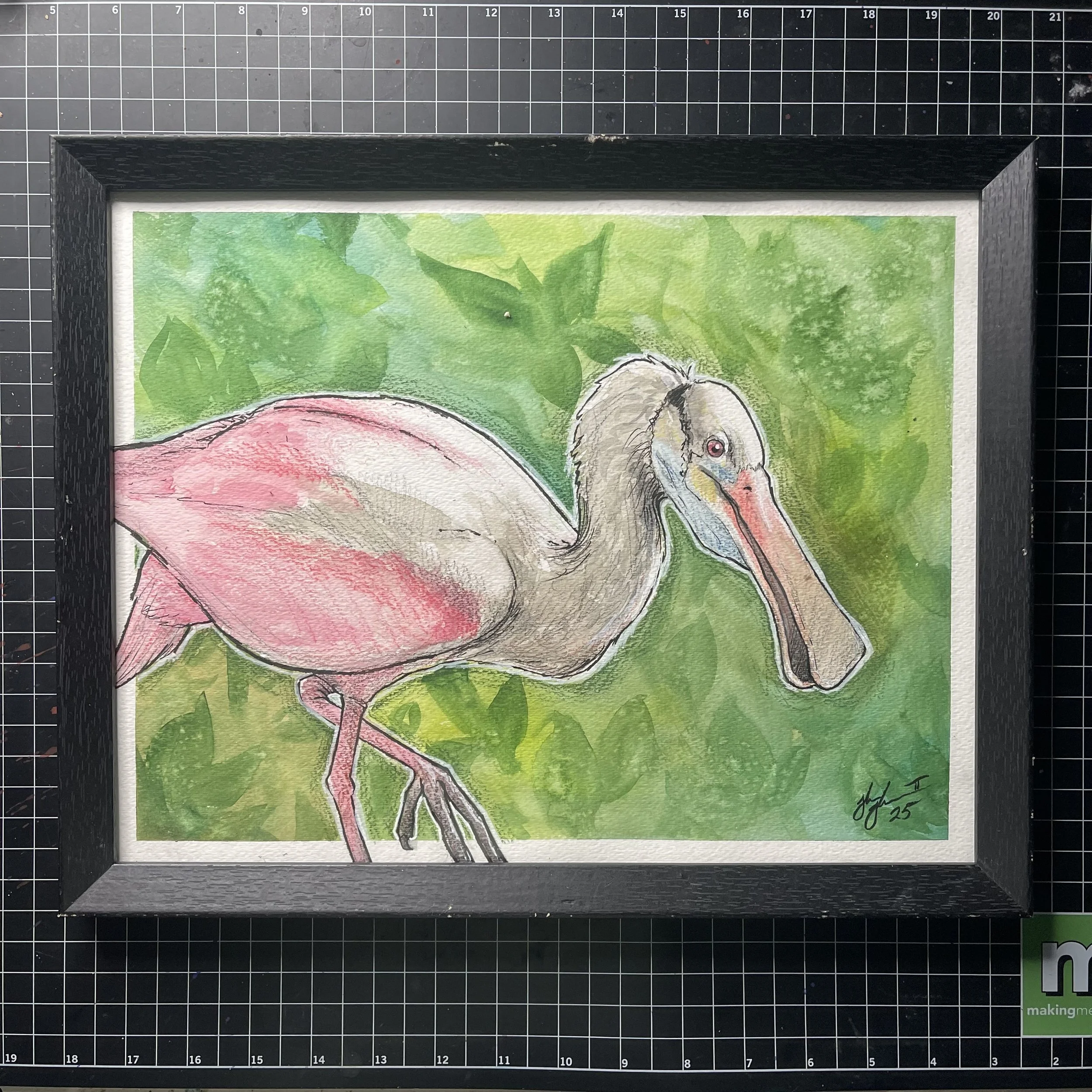 Roseate Spoonbill