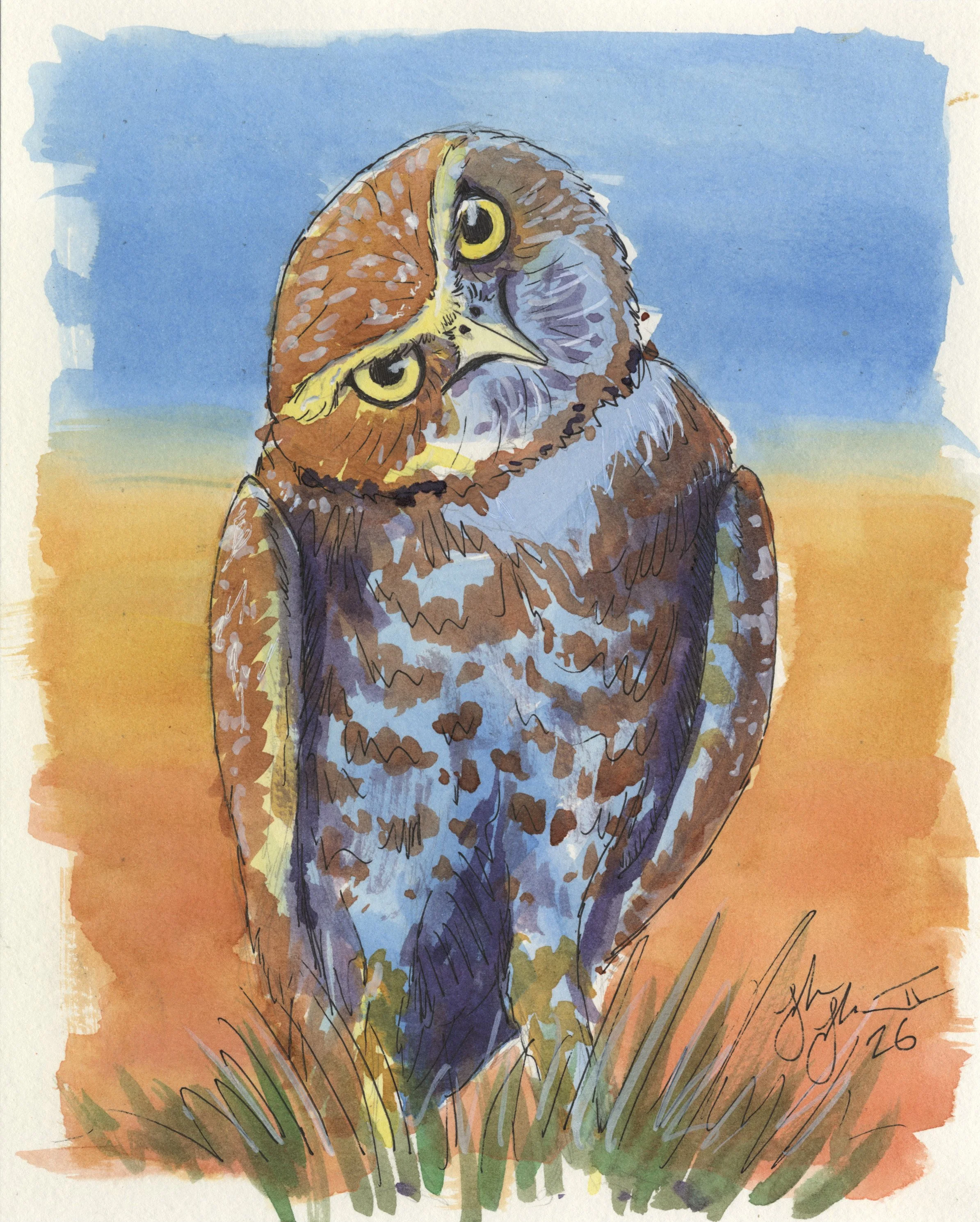 Curious Owl Class