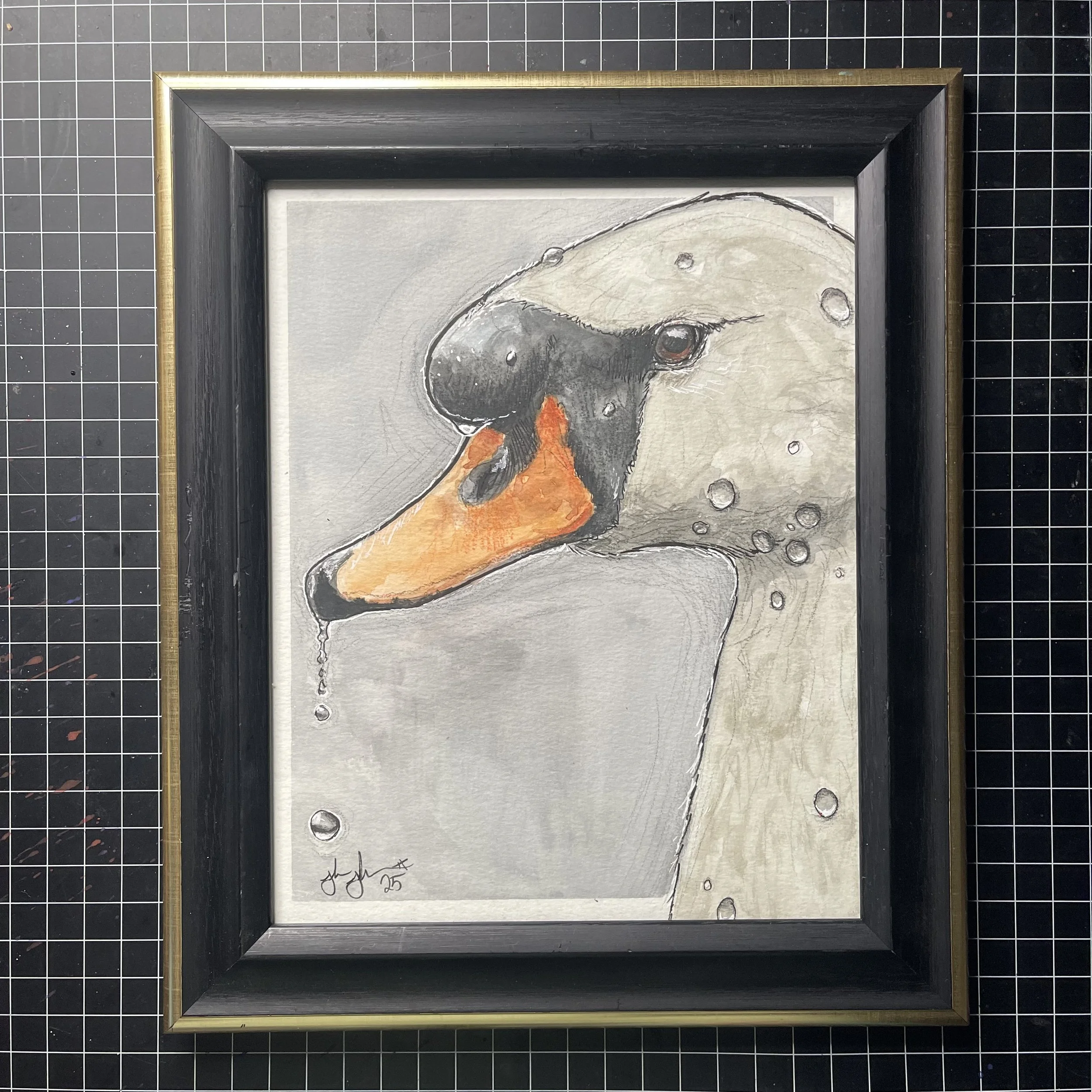 Deluco Swan