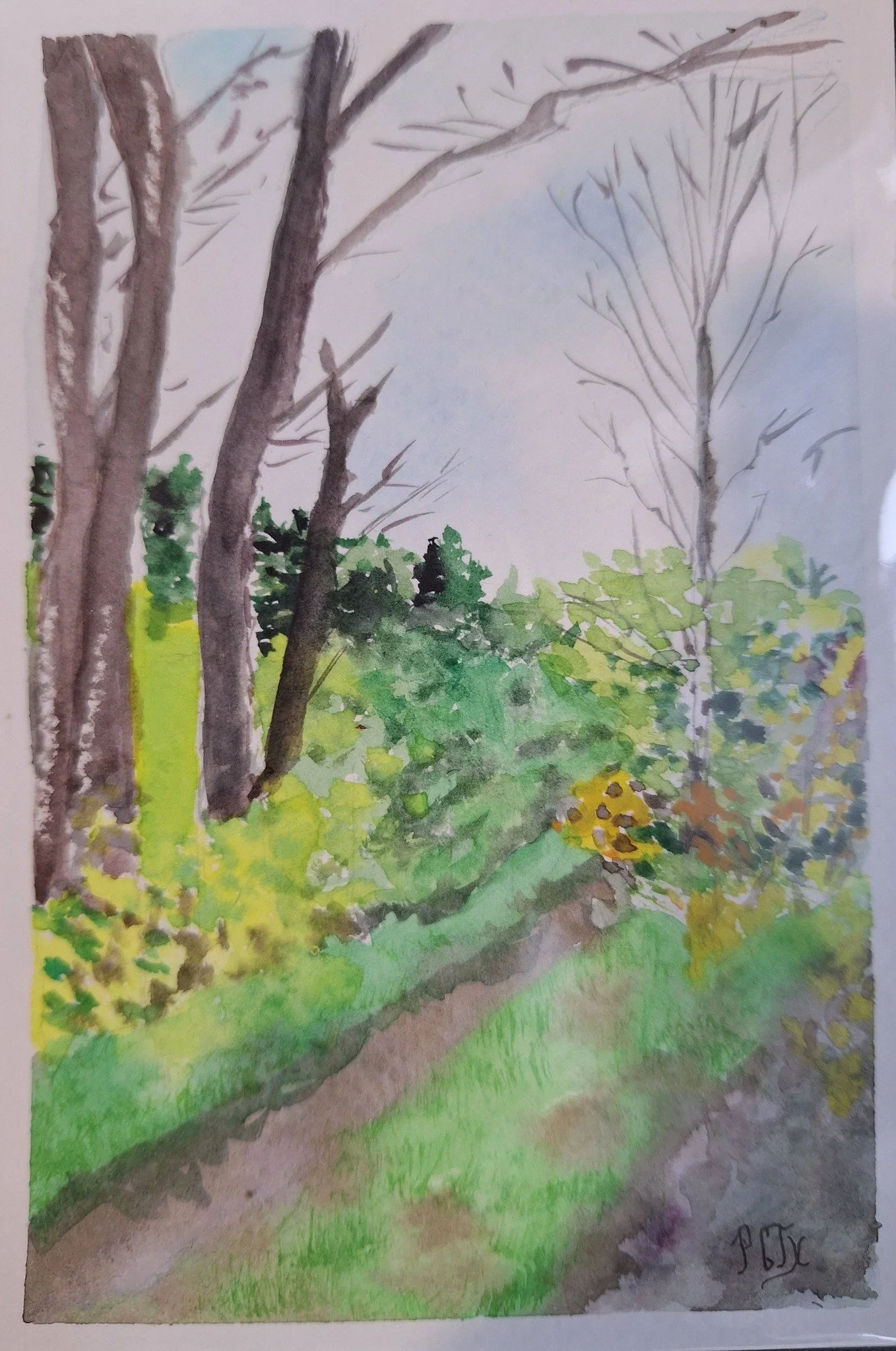chemin dans le morvan fin d'hiver cadré.jpg