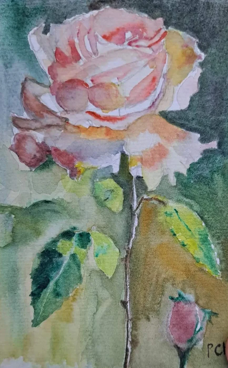 carte aquarelle originale rose épanouie pascale coutoux