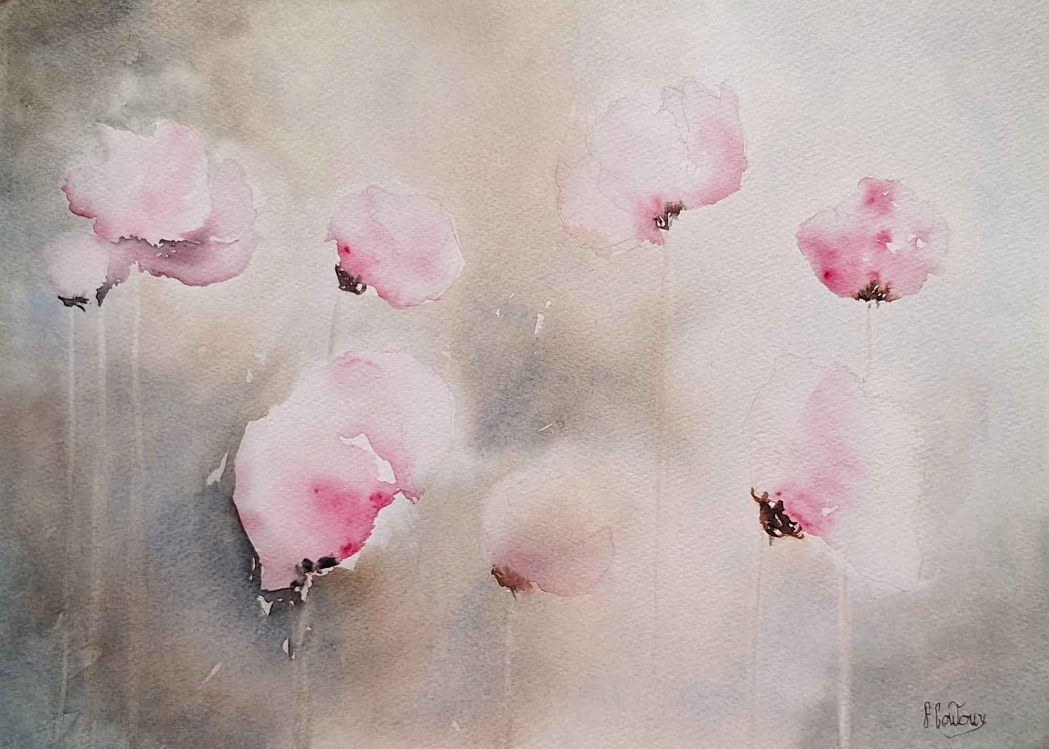 Éclats de coquelicots roses – Aquarelle originale format 38x28 cm