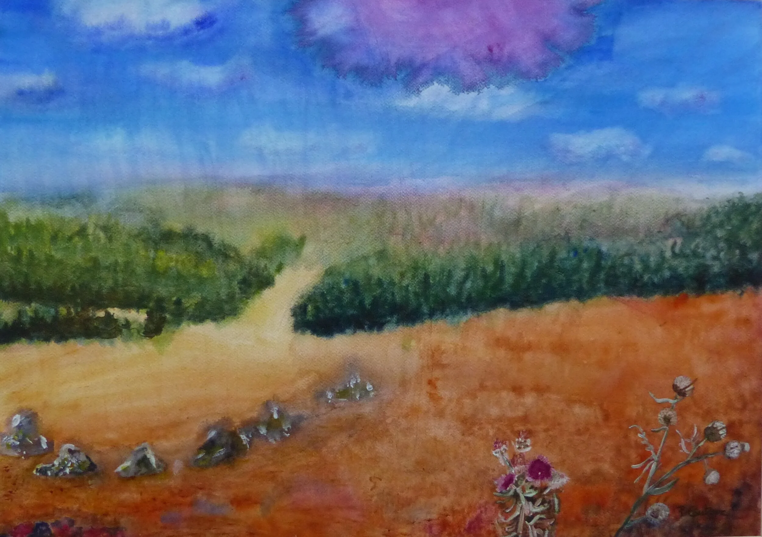 impression lozérienne aquarelle pascale coutoux 1.JPG