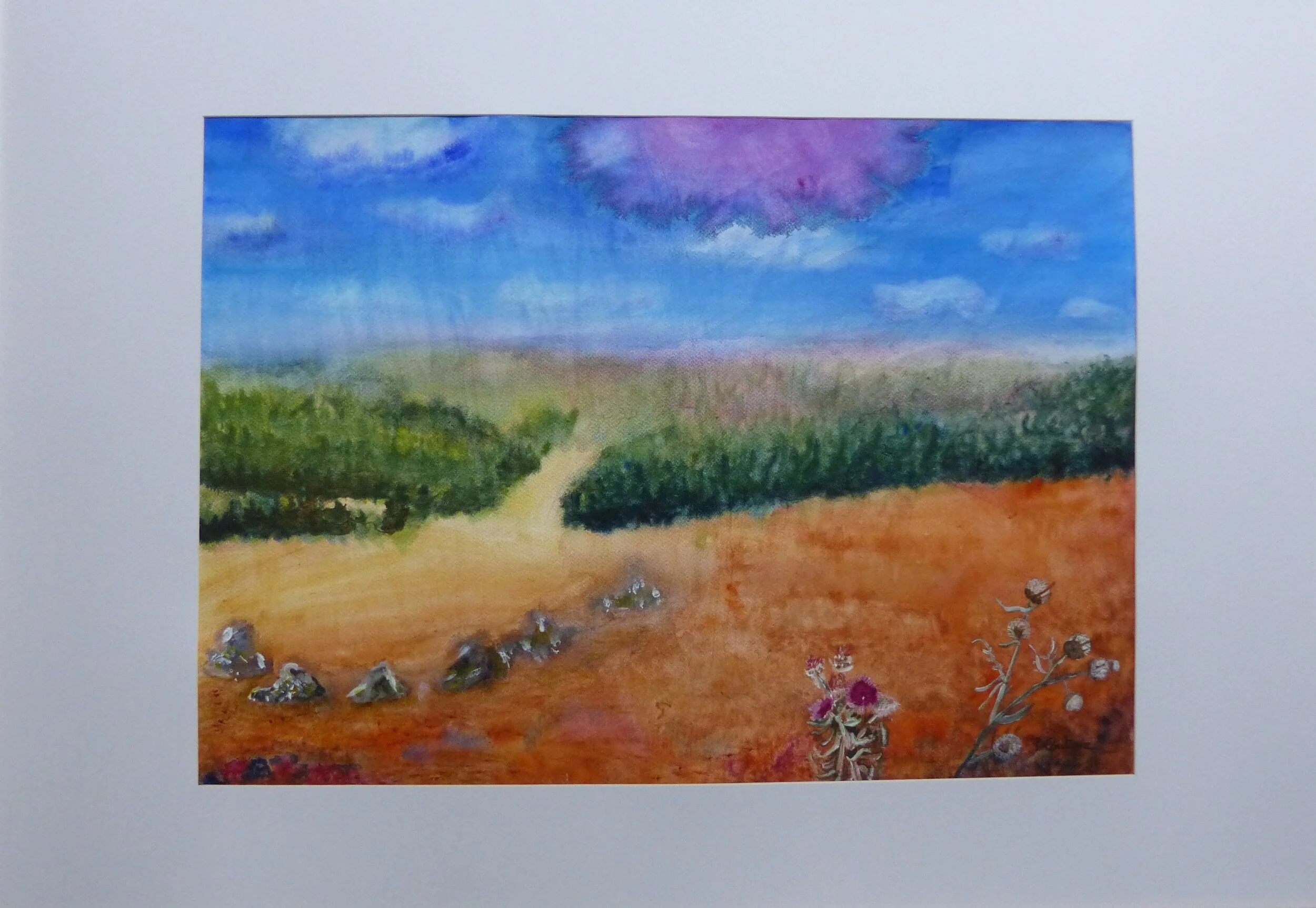 impression lozérienne aquarelle pascale coutoux 2.JPG