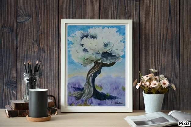 l'olivier en situation pcoutoux.JPG