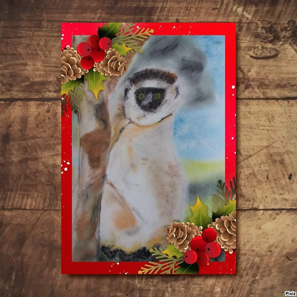 lémurien en sit pcoutoux.JPG