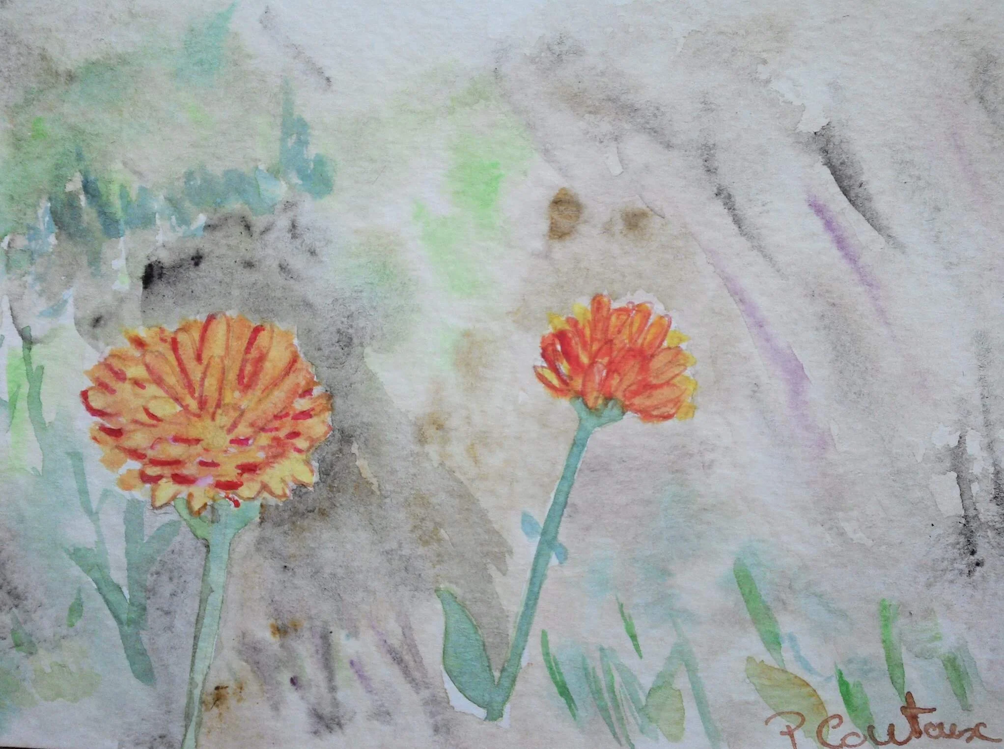 Carte postale fleur: deux soucis