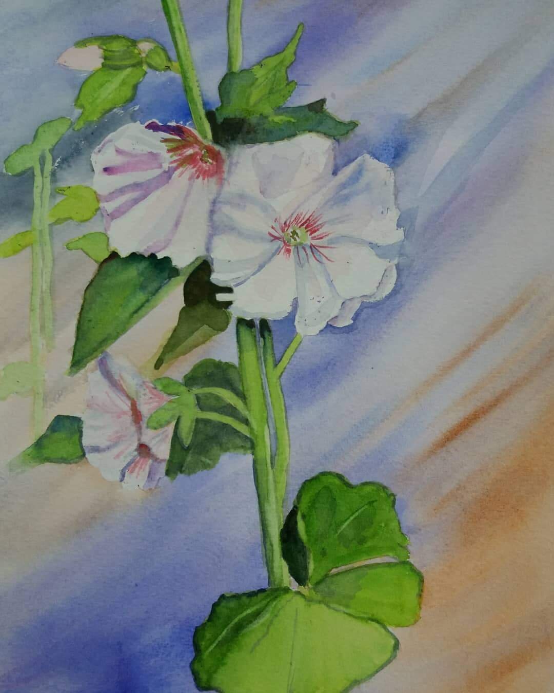 Aquarelle de rose trémière blanche sur fond bleu et orangé, symbole de pureté et d'élégance