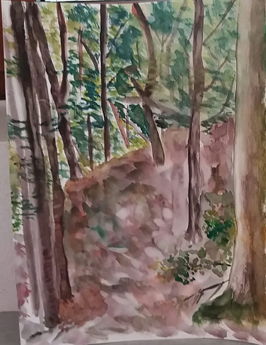 aquarelle sous bois.jpg