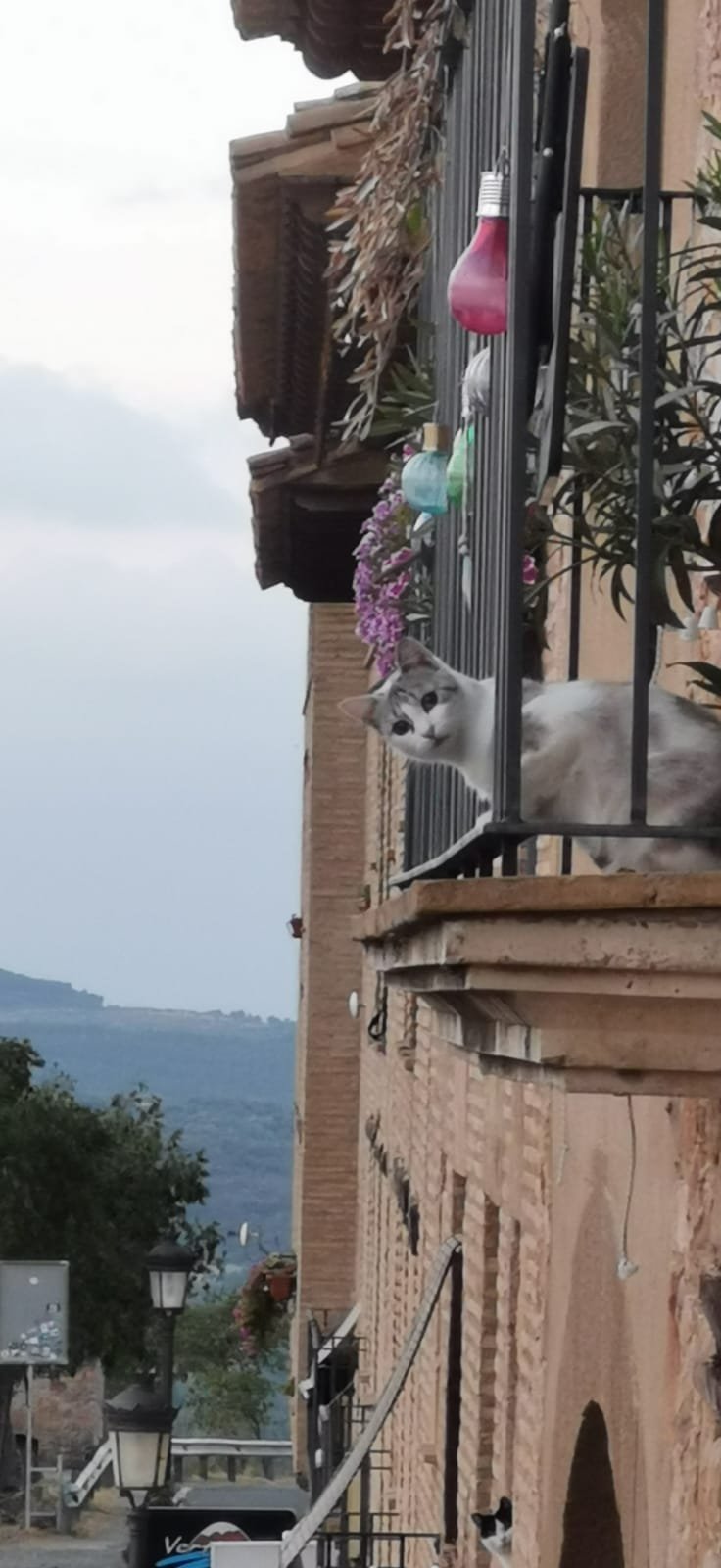 alquézar chat balcon 3emej.jpg