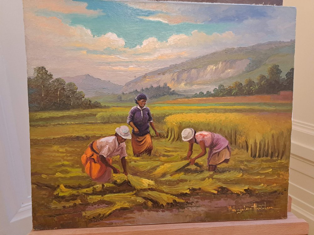 femme dans rizières hobinjatovo.JPG