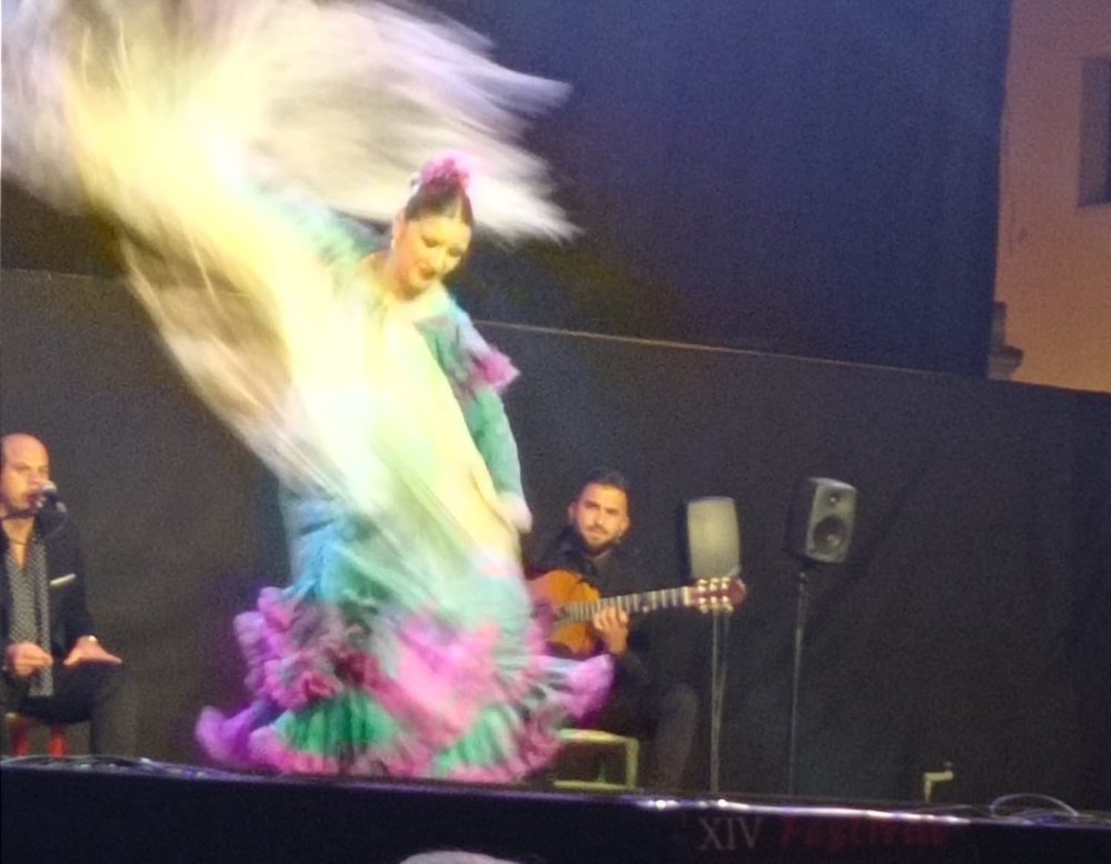 flamenco1.jpg