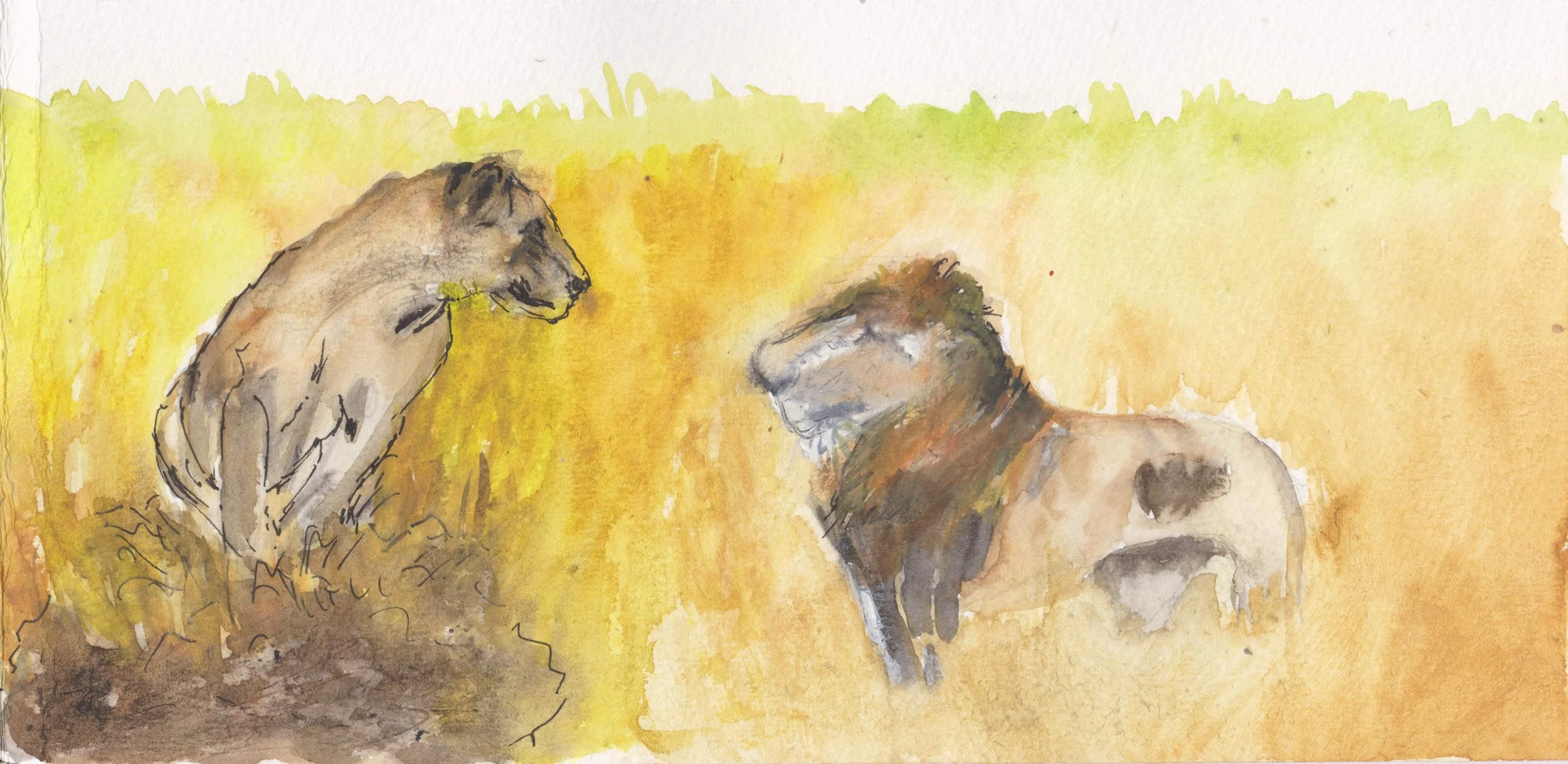 cérémonie des lions1 001.JPG