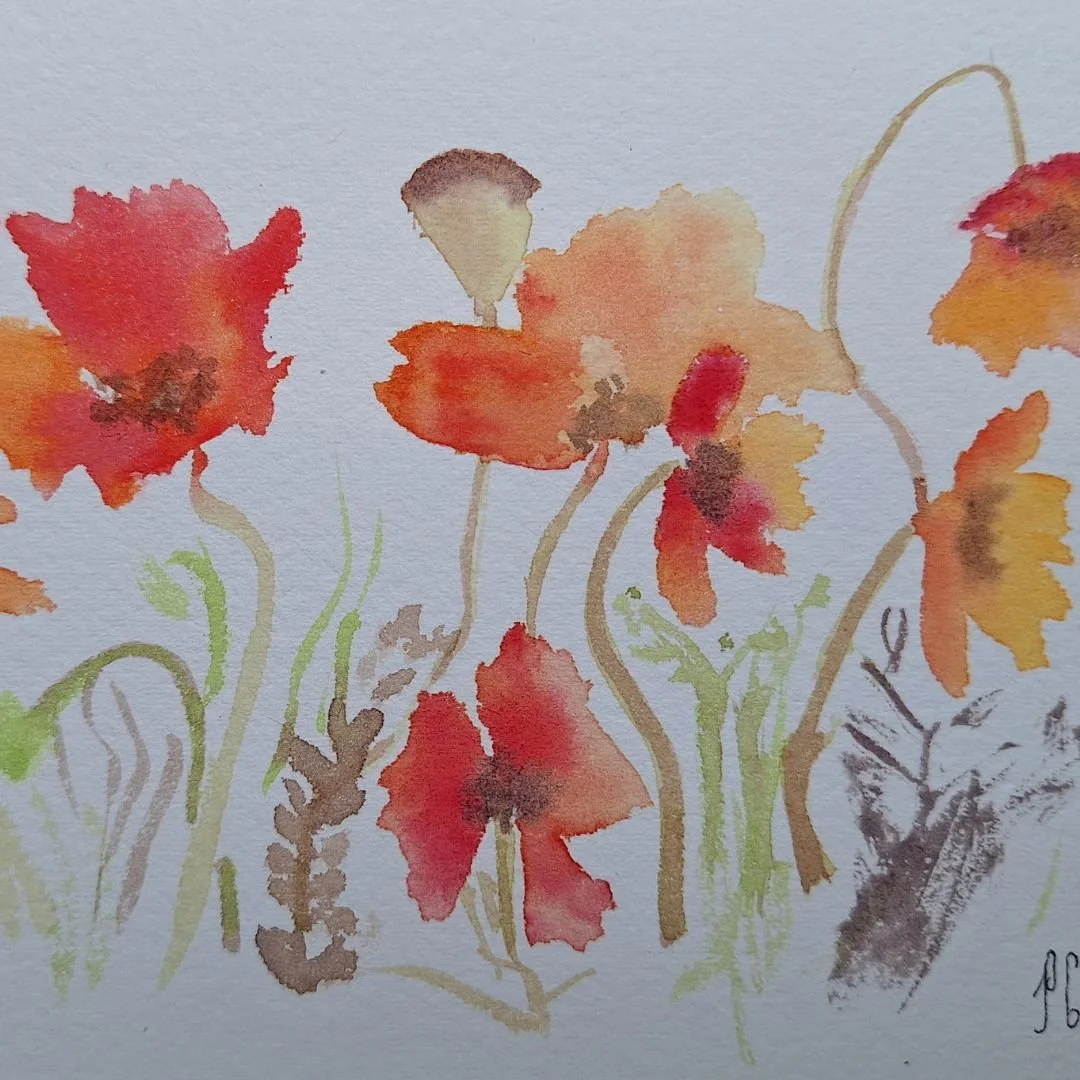 coquelicots (2).jpg