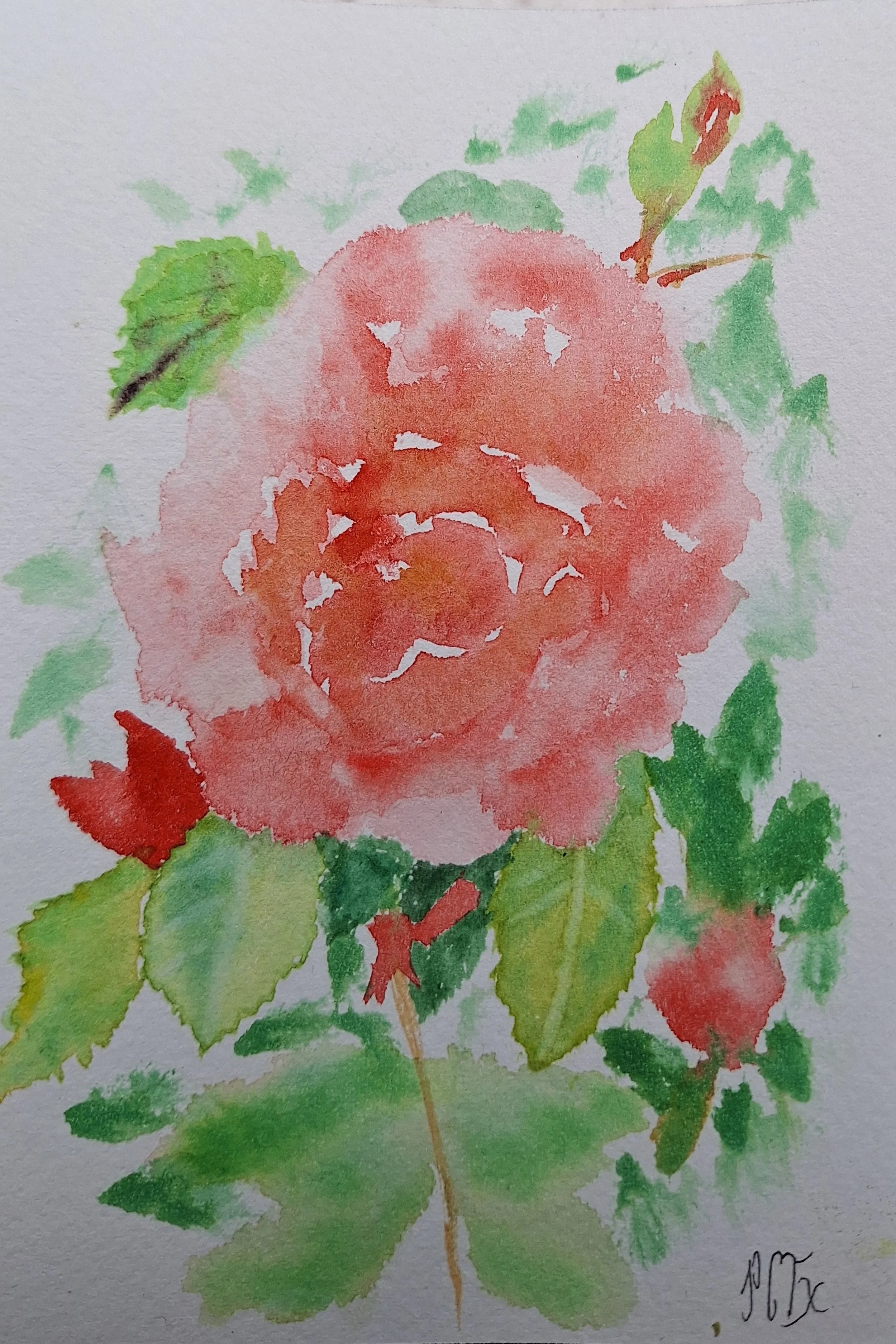 carte rose rouge.jpg