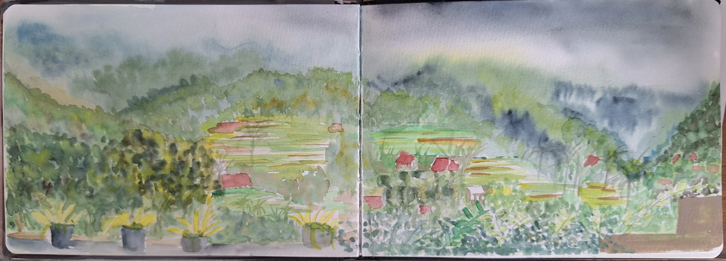 Carnet de voyage à Bali : retrouvailles au bout du monde en aquarelles