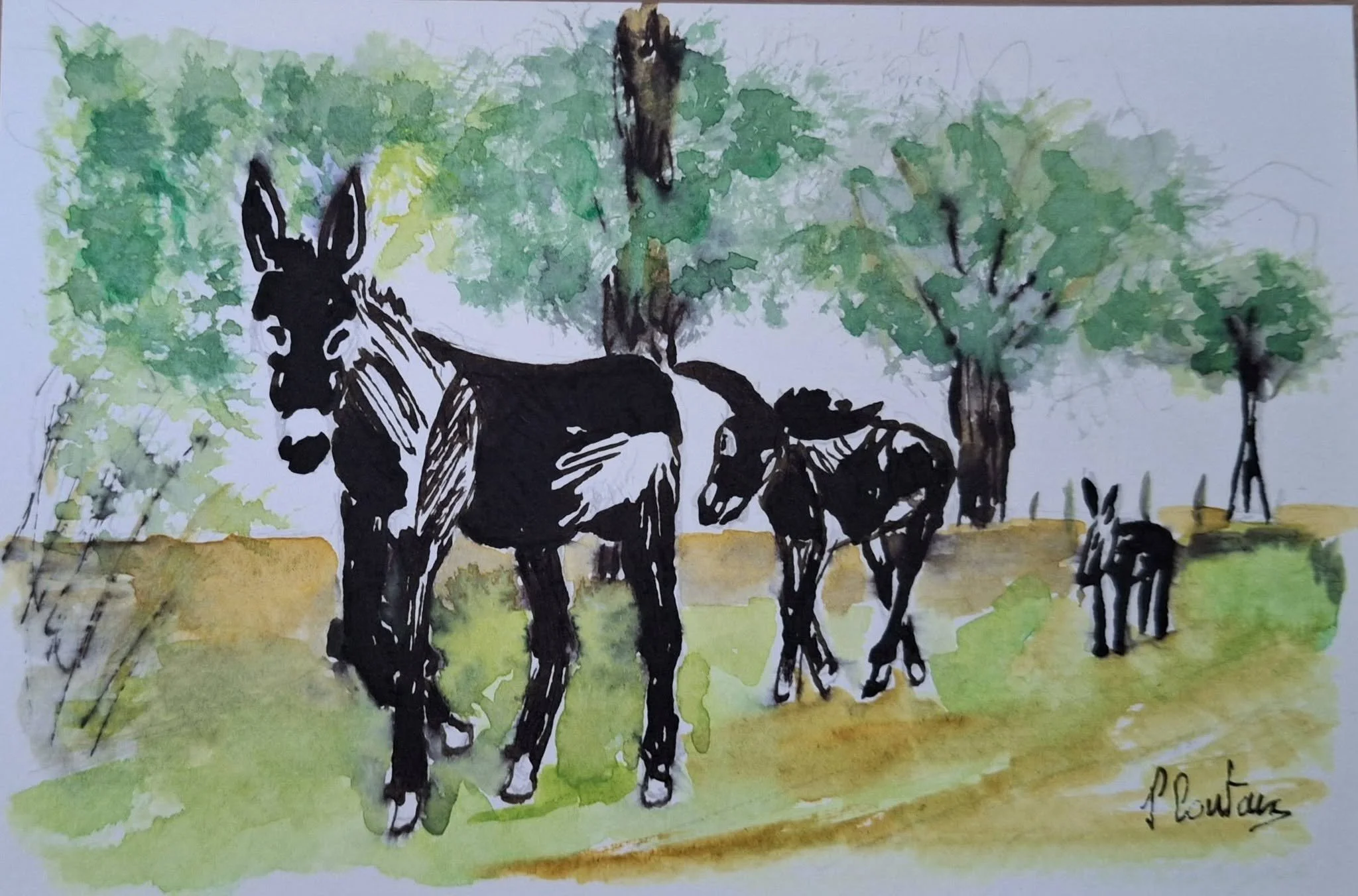 Anes noirs du Berry-carte aquarelle originale