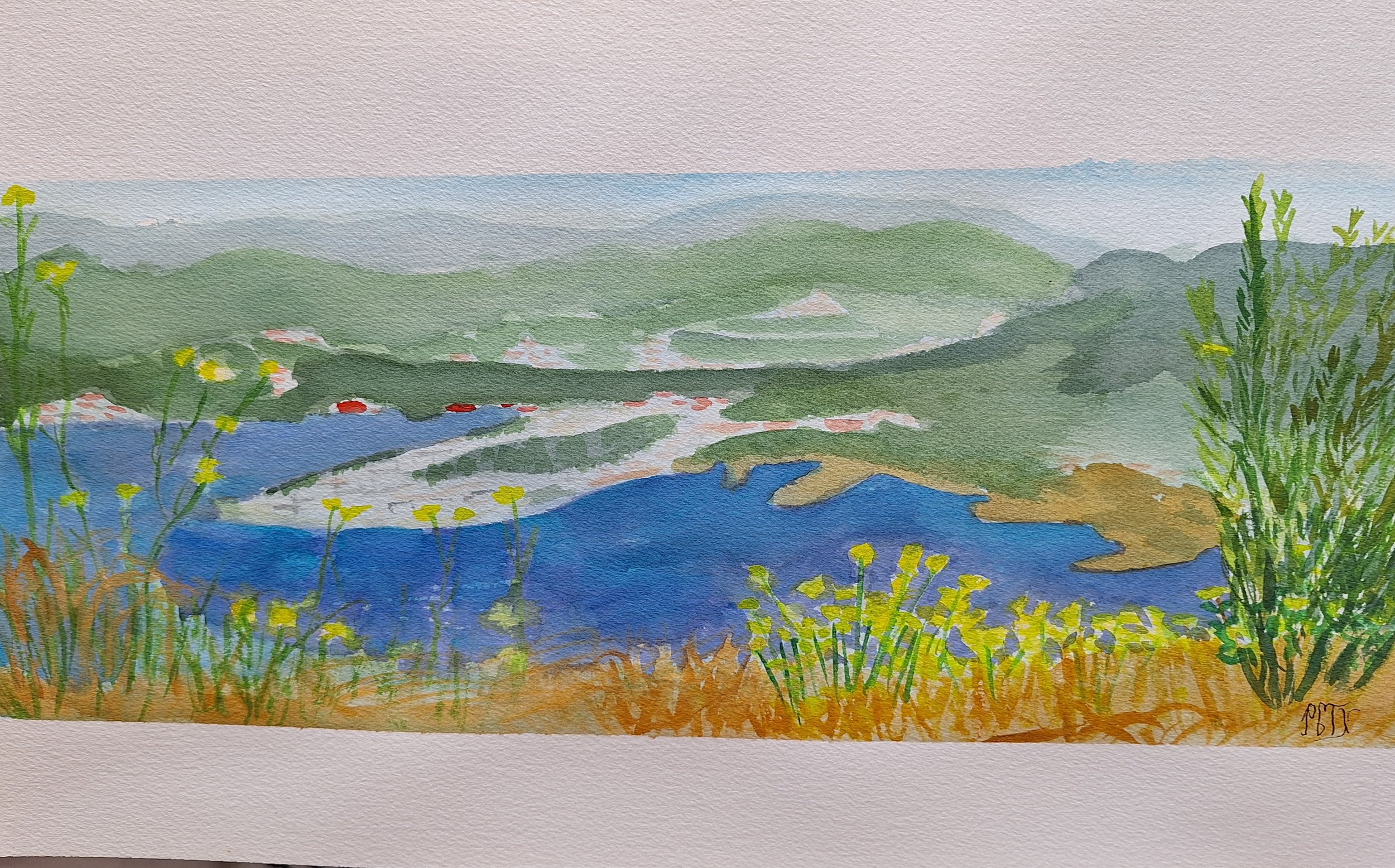 vue de Sète du haut de la colline- aquarelle -pascale-coutouxcm.jpg