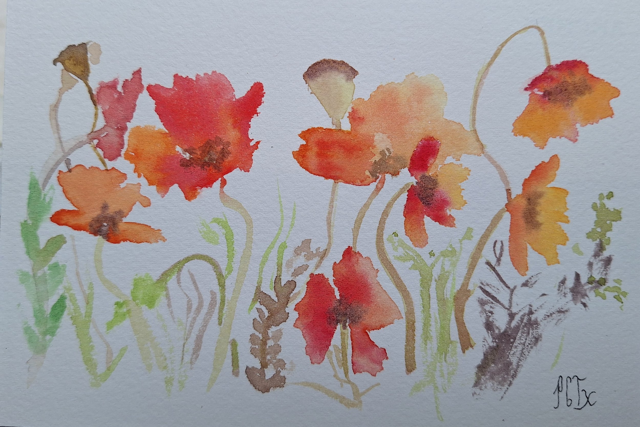 carte coquelicots.jpg