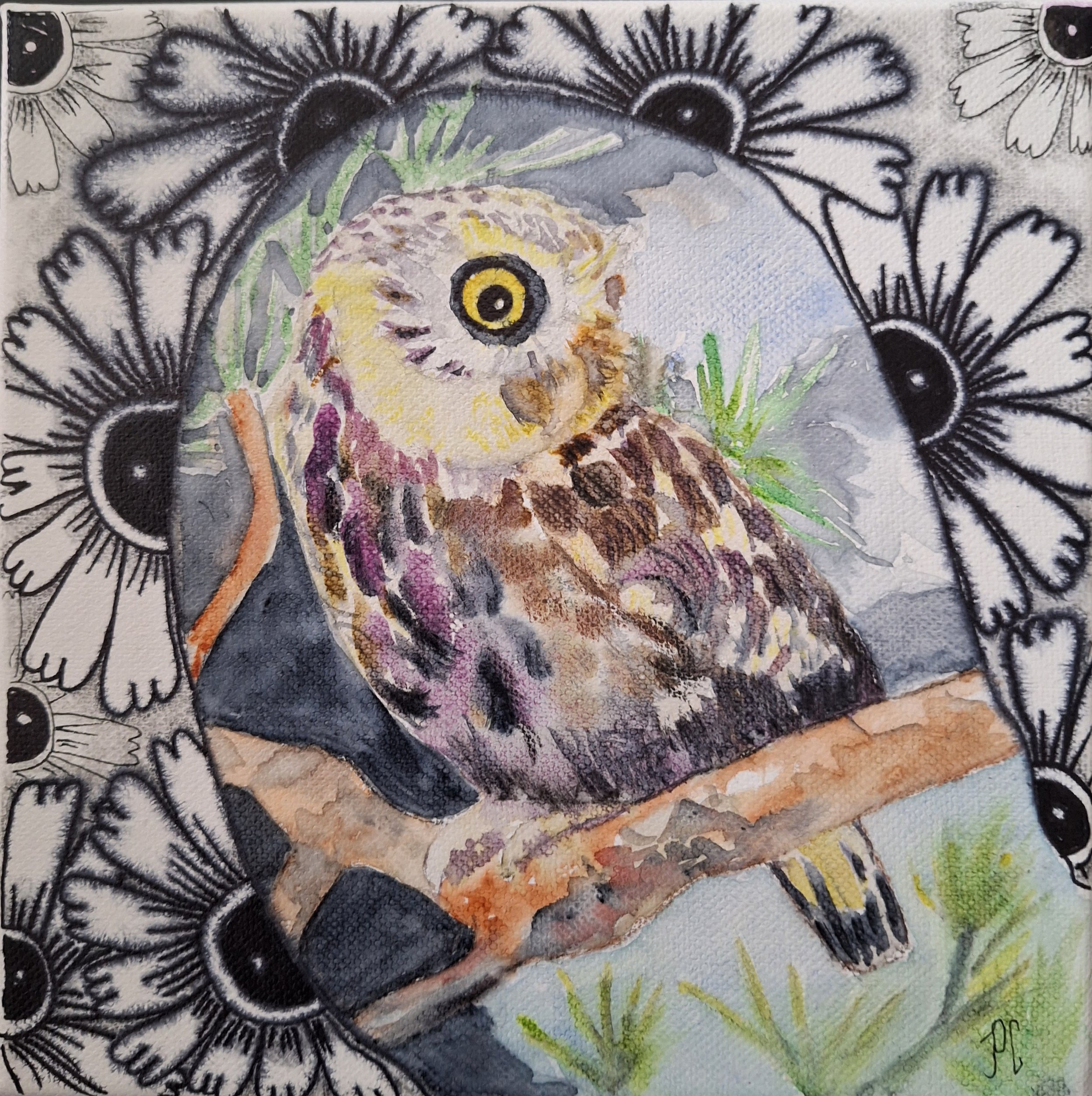 chouette- mixmédia-aquarelle-zentangle- 20x20cm -pcoutoux- .jpg