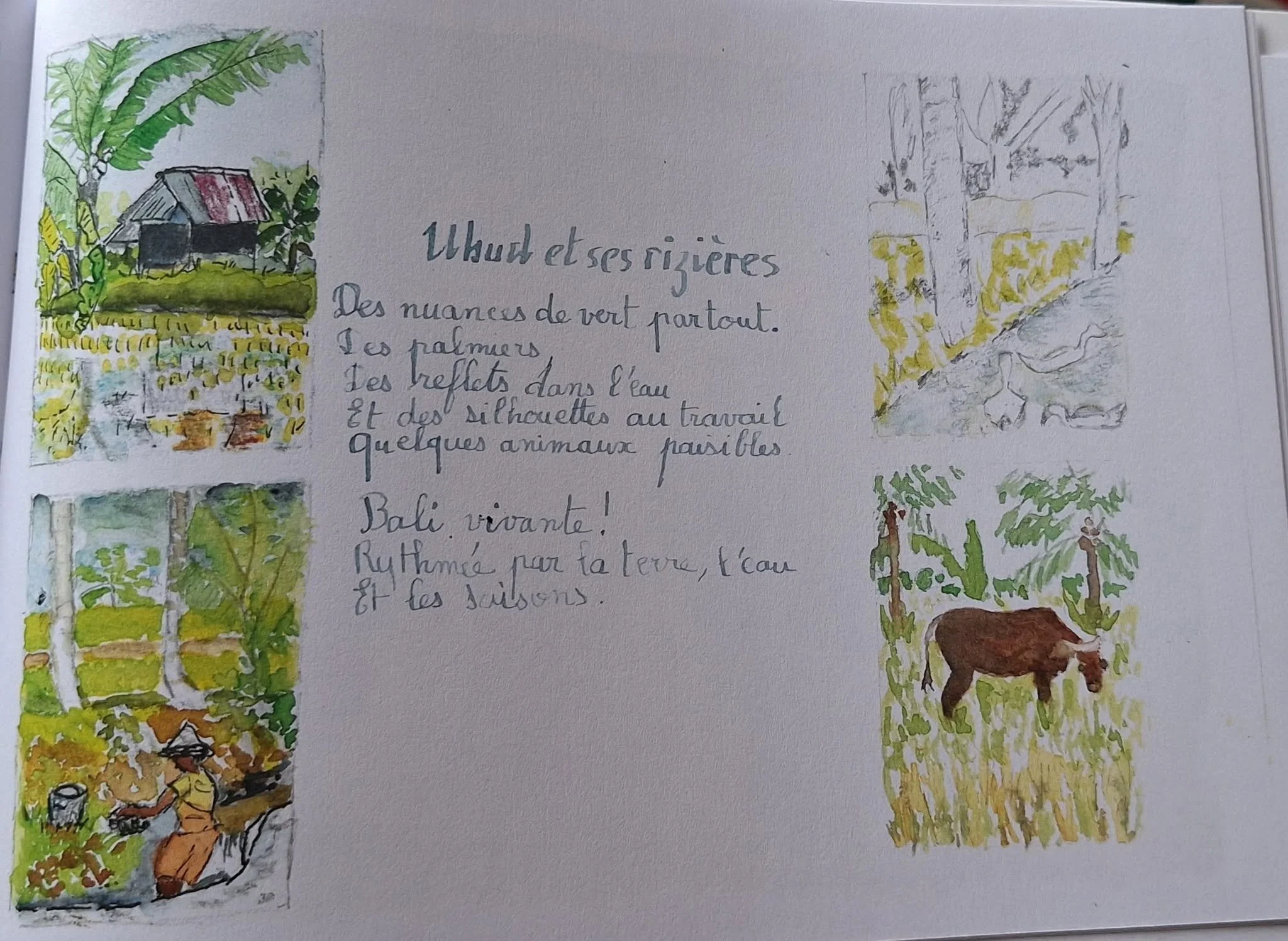 photo petits croquis pour story instagram.jpg