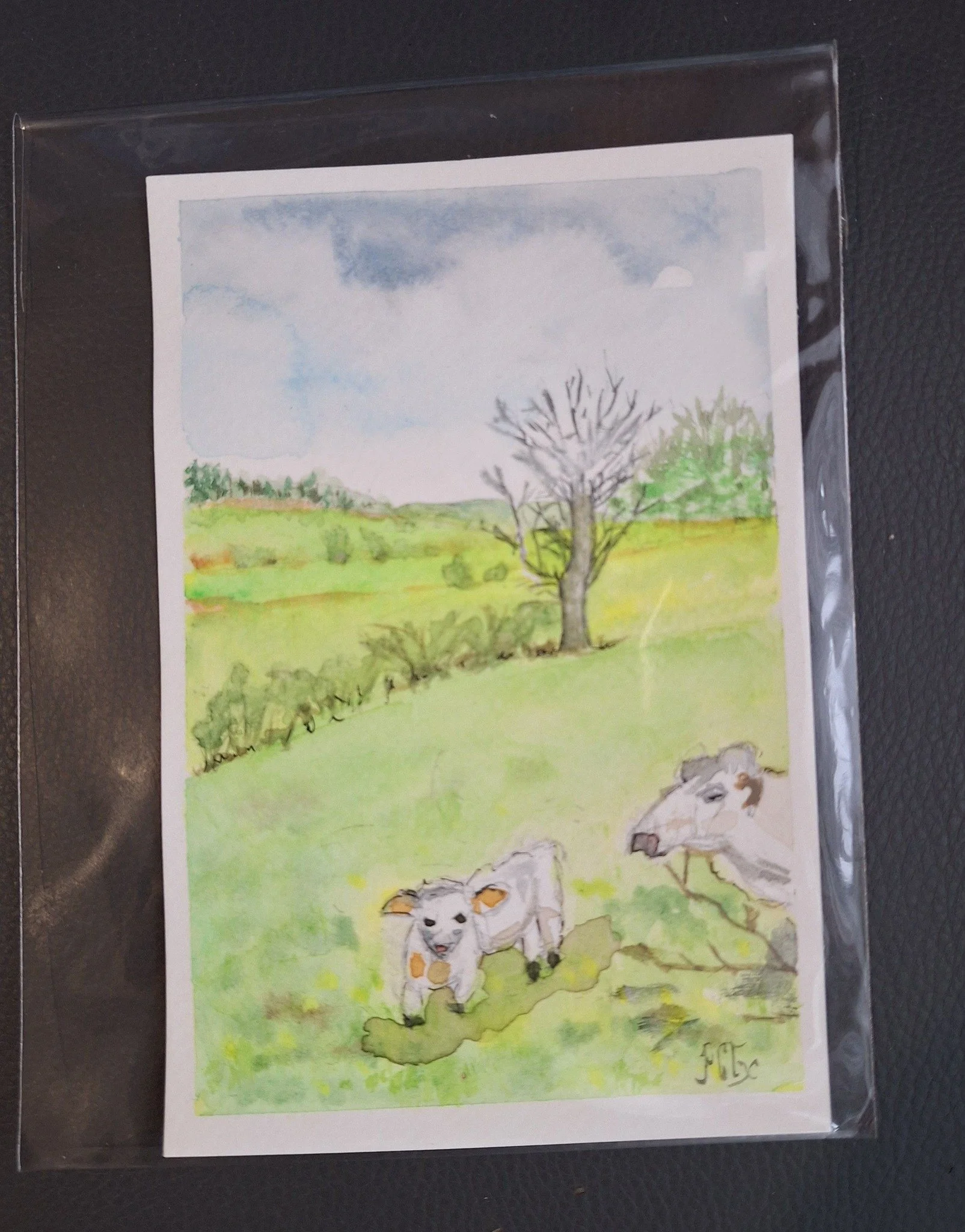 veau gambadant dans un pré dans le morvan 2.jpg