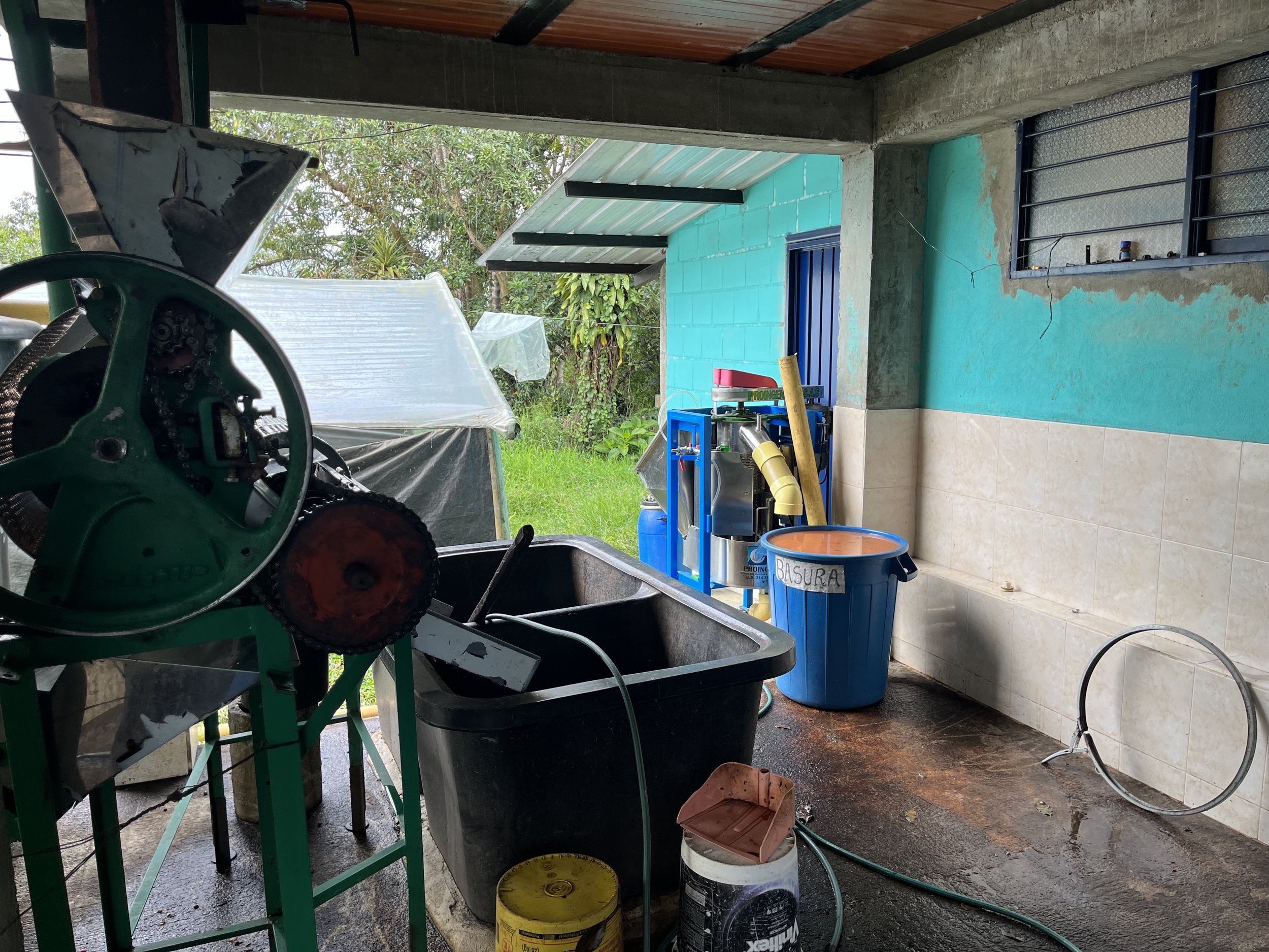 The washing station, Finca Patio Bonito