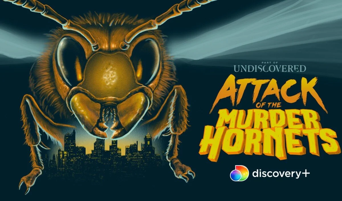 Attack of the Murder Hornets (63)