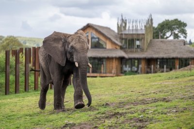 WMSP-Sutton-Move-9-5-23-pic2.jpg