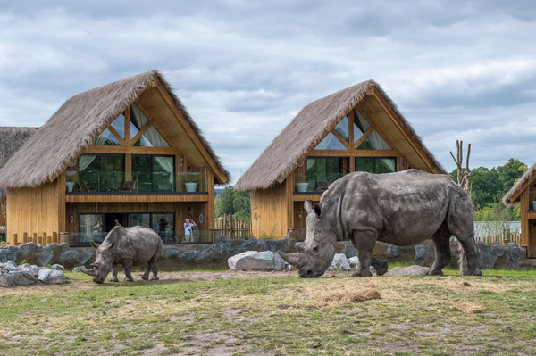 image-Rhino-Lodge-03.png