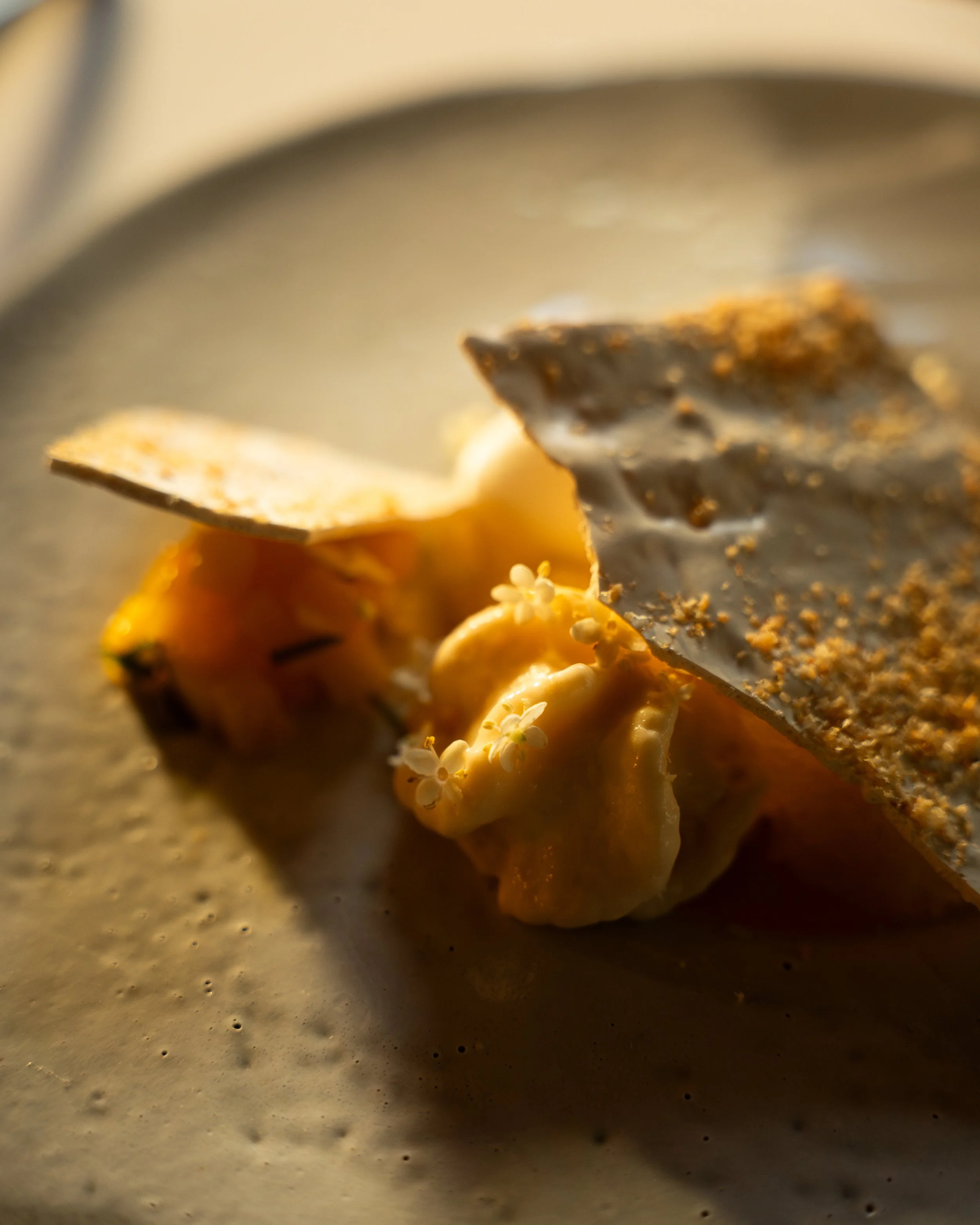 Futurehouse Doc image 1-5.jpg