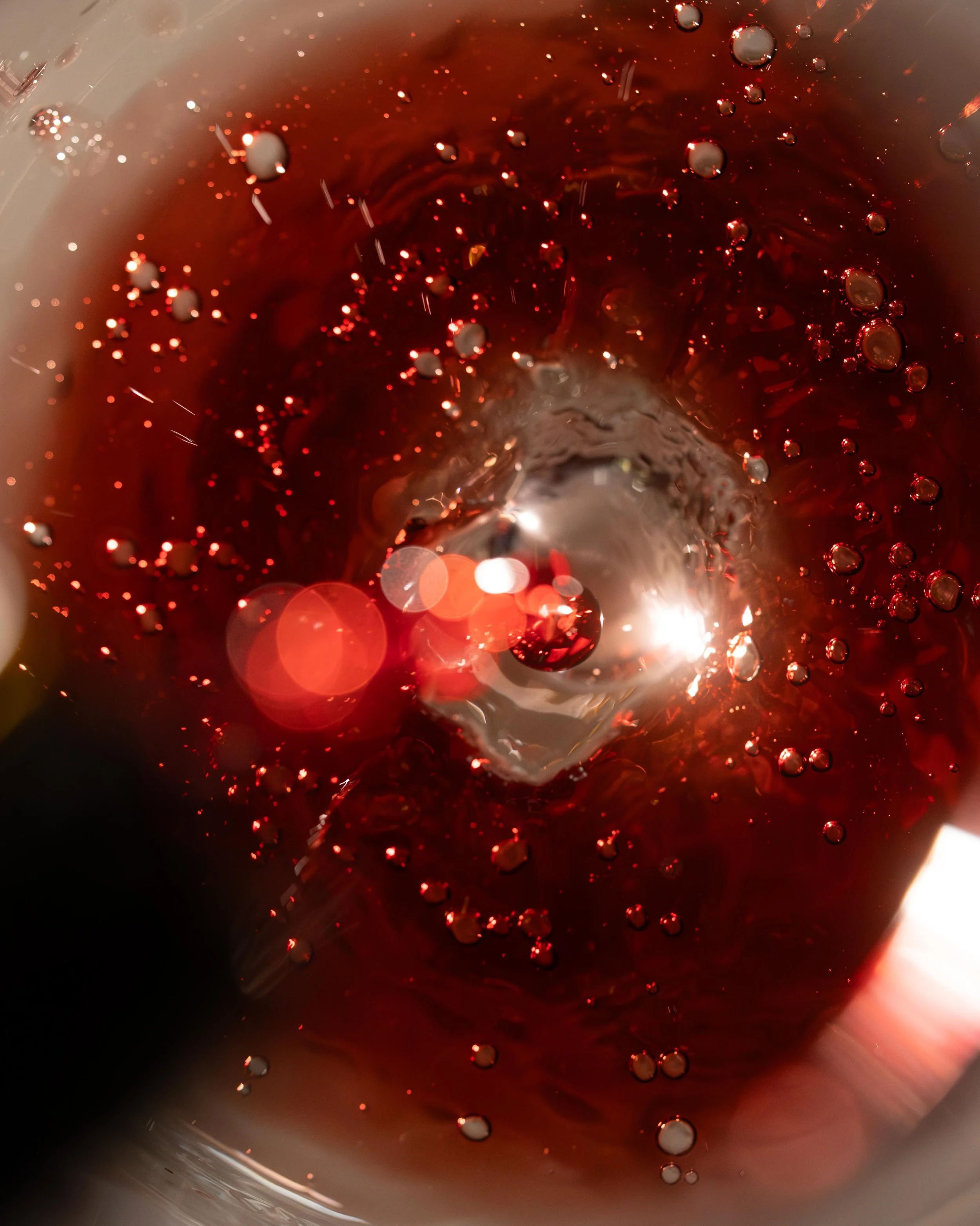 SALON Photoshoot August-1.jpg