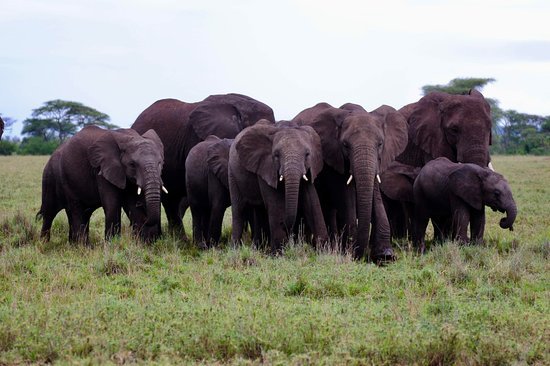 ngorongoro-crater.jpg