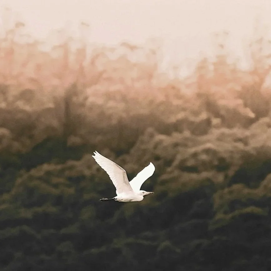 Erkennen,was Sie nicht erkennen