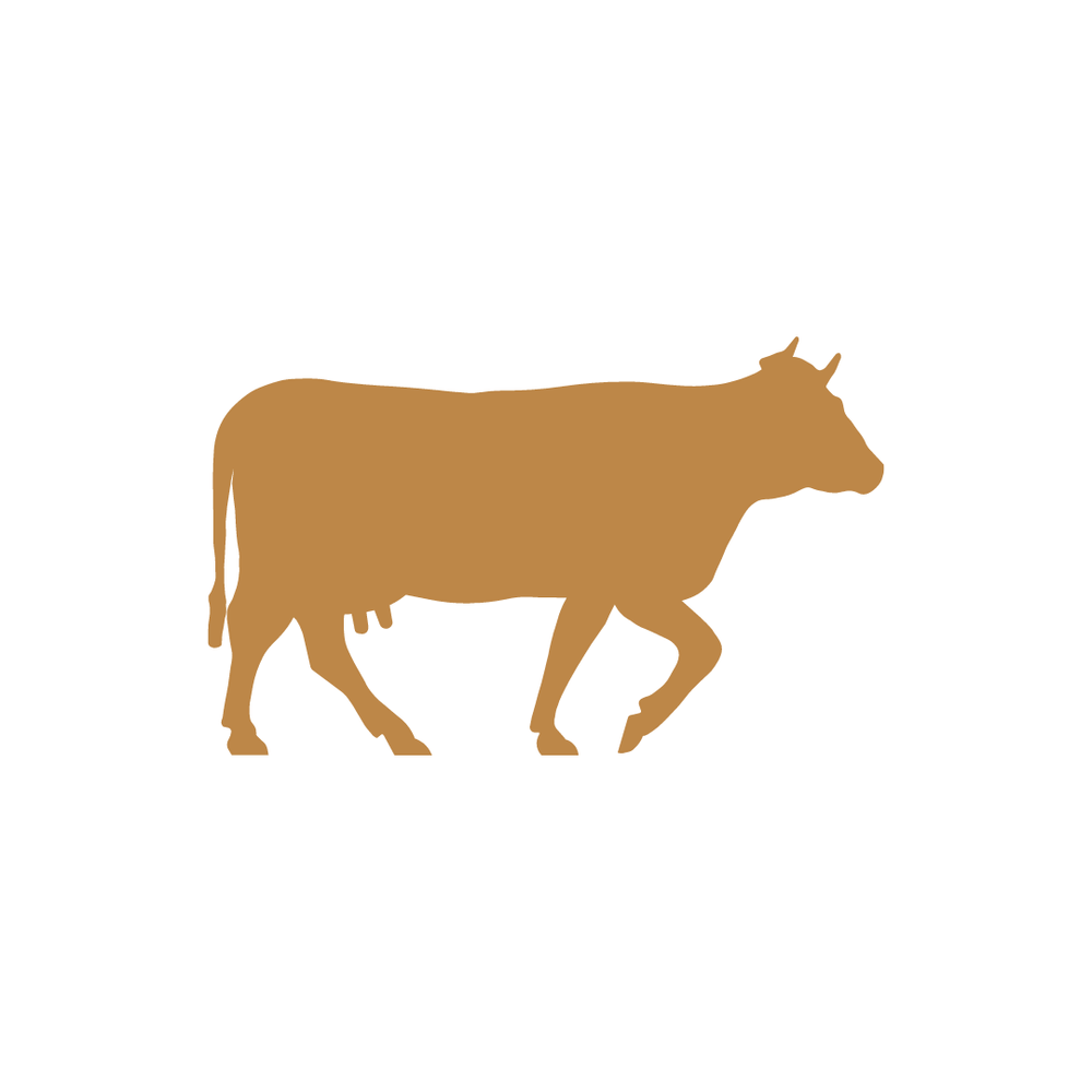 SMALLER COW.png