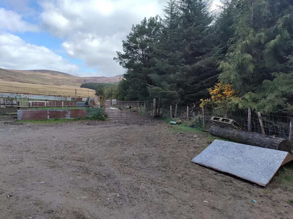 WhatsApp Image 2023-05-05 at 11.44.21.jpeg